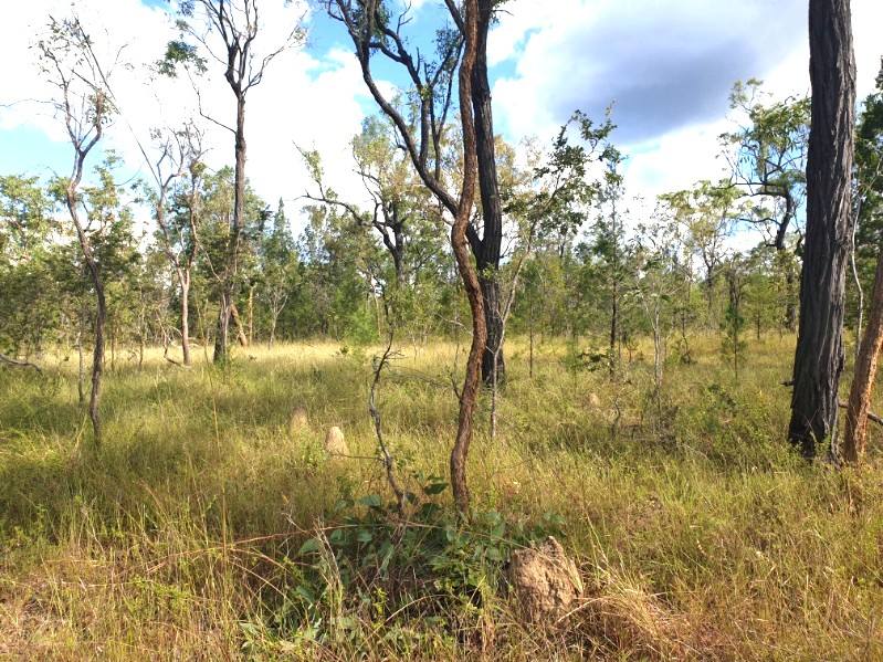 17940 Kennedy Hwy, Mount Garnet For Sale by Farmbuy.com - image 26
