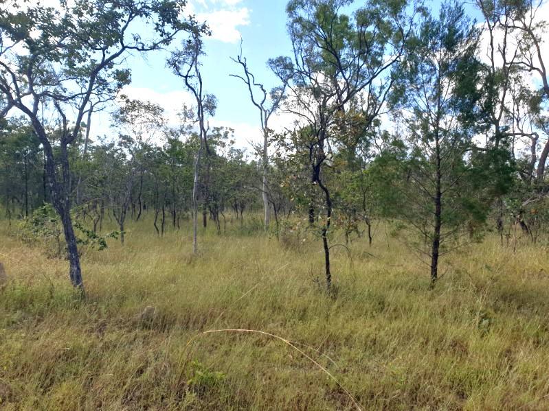 17940 Kennedy Hwy, Mount Garnet For Sale by Farmbuy.com - image 19