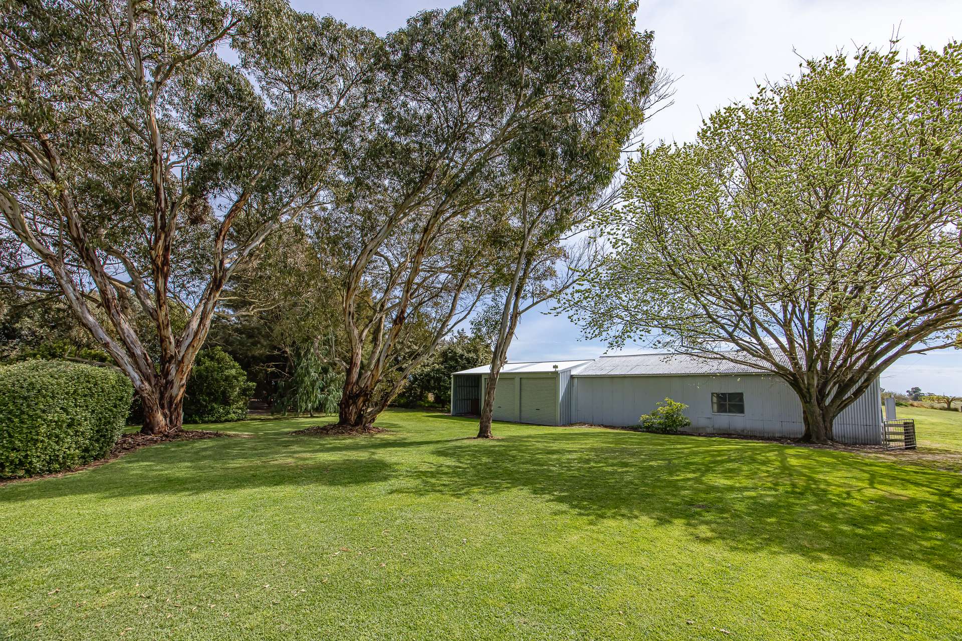 220 Bournes Road, Bool Lagoon For Sale by Farmbuy.com - image 13