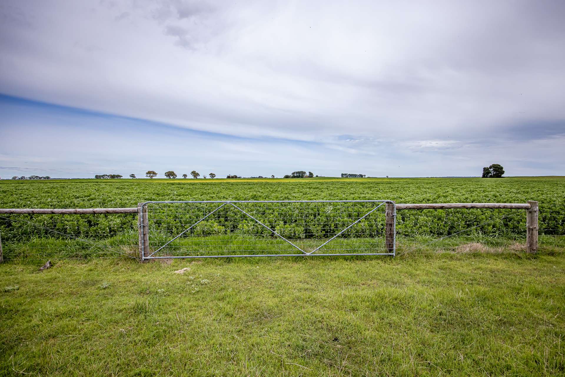 220 Bournes Road, Bool Lagoon For Sale by Farmbuy.com - image 7