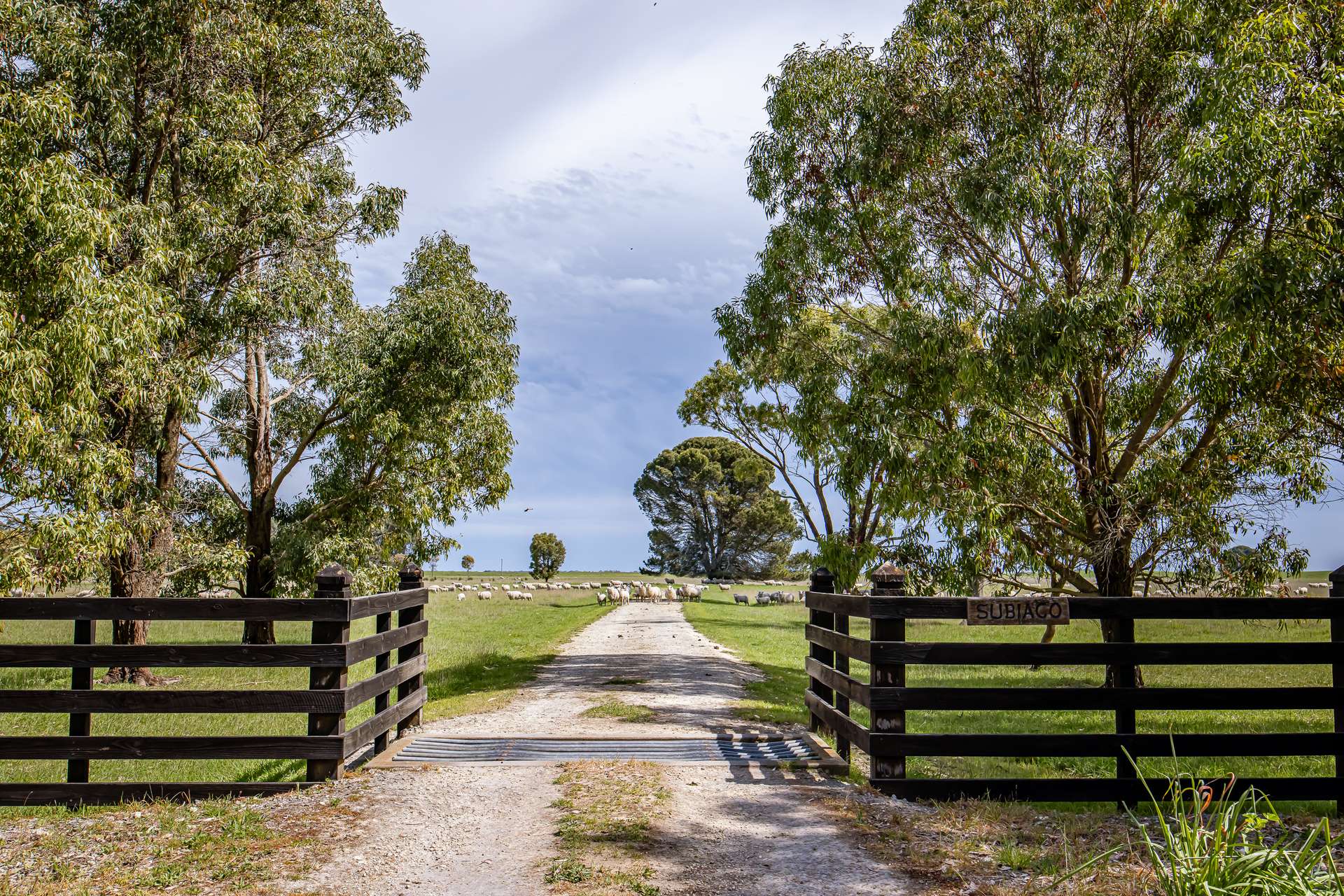 220 Bournes Road, Bool Lagoon For Sale by Farmbuy.com - image 33