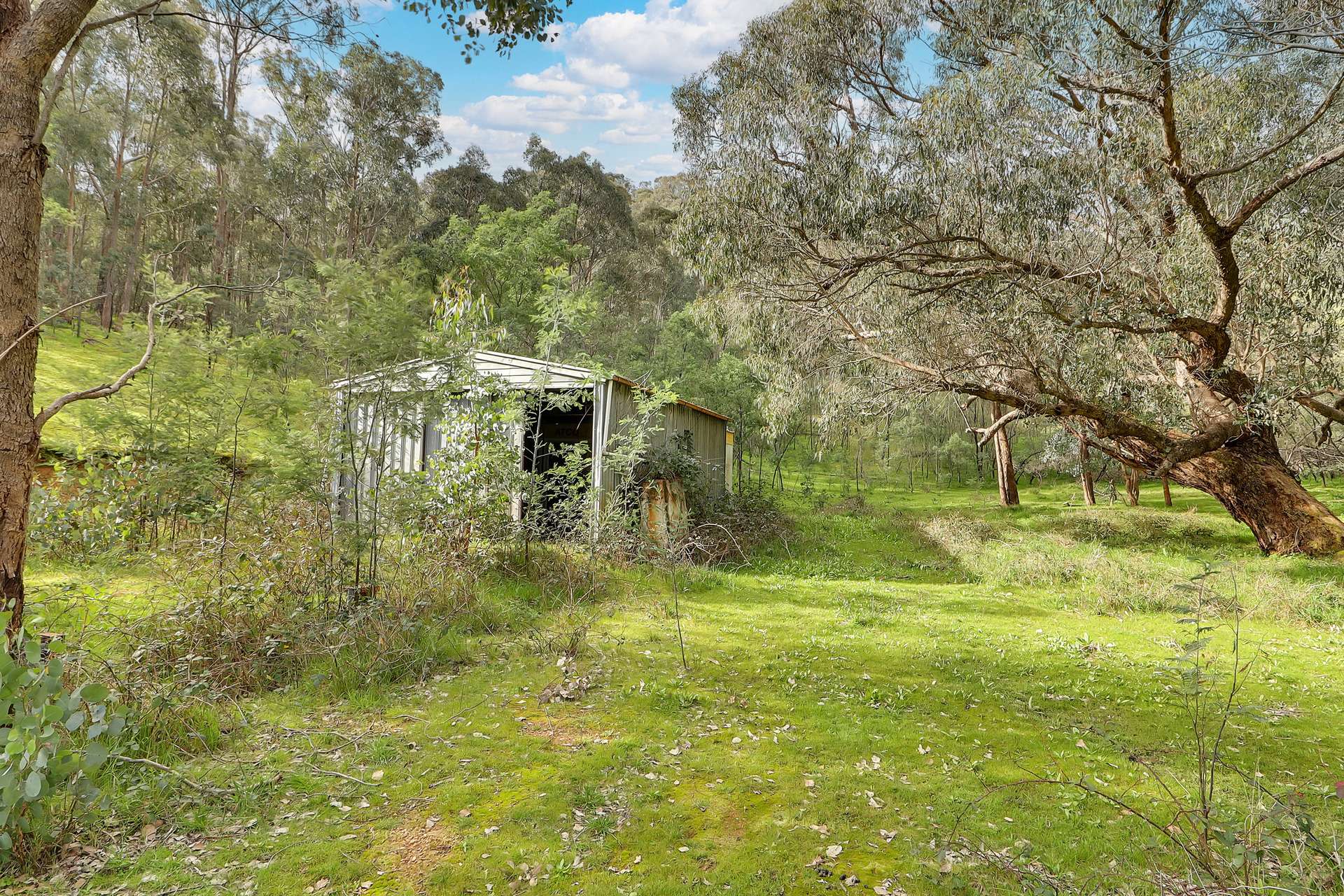 Lot 1 2995 Maintongoon Road, Bonnie Doon For Sale by Farmbuy.com - image 11