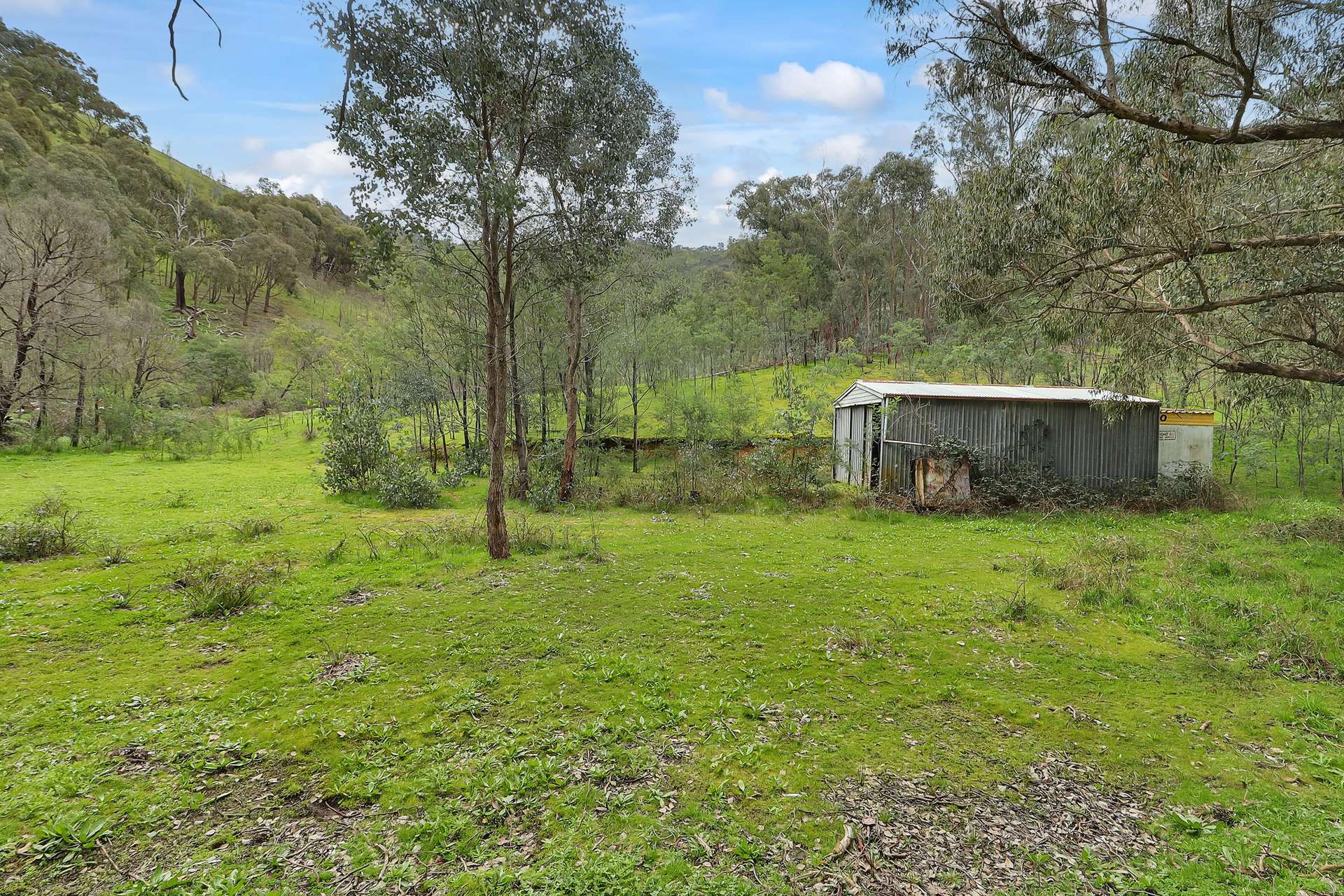 Lot 1 2995 Maintongoon Road, Bonnie Doon For Sale by Farmbuy.com - image 14