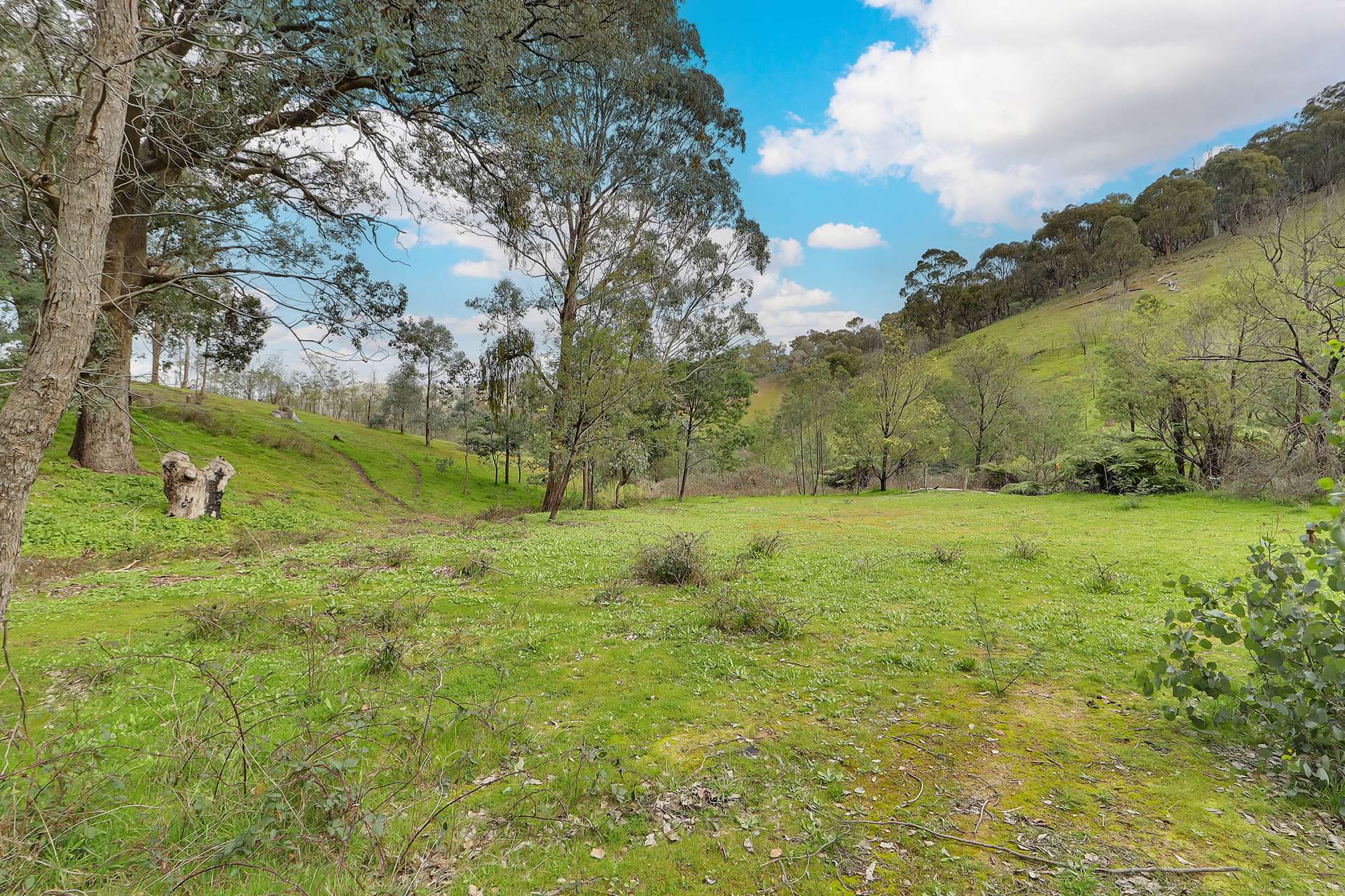 Lot 1 2995 Maintongoon Road, Bonnie Doon For Sale by Farmbuy.com - image 12