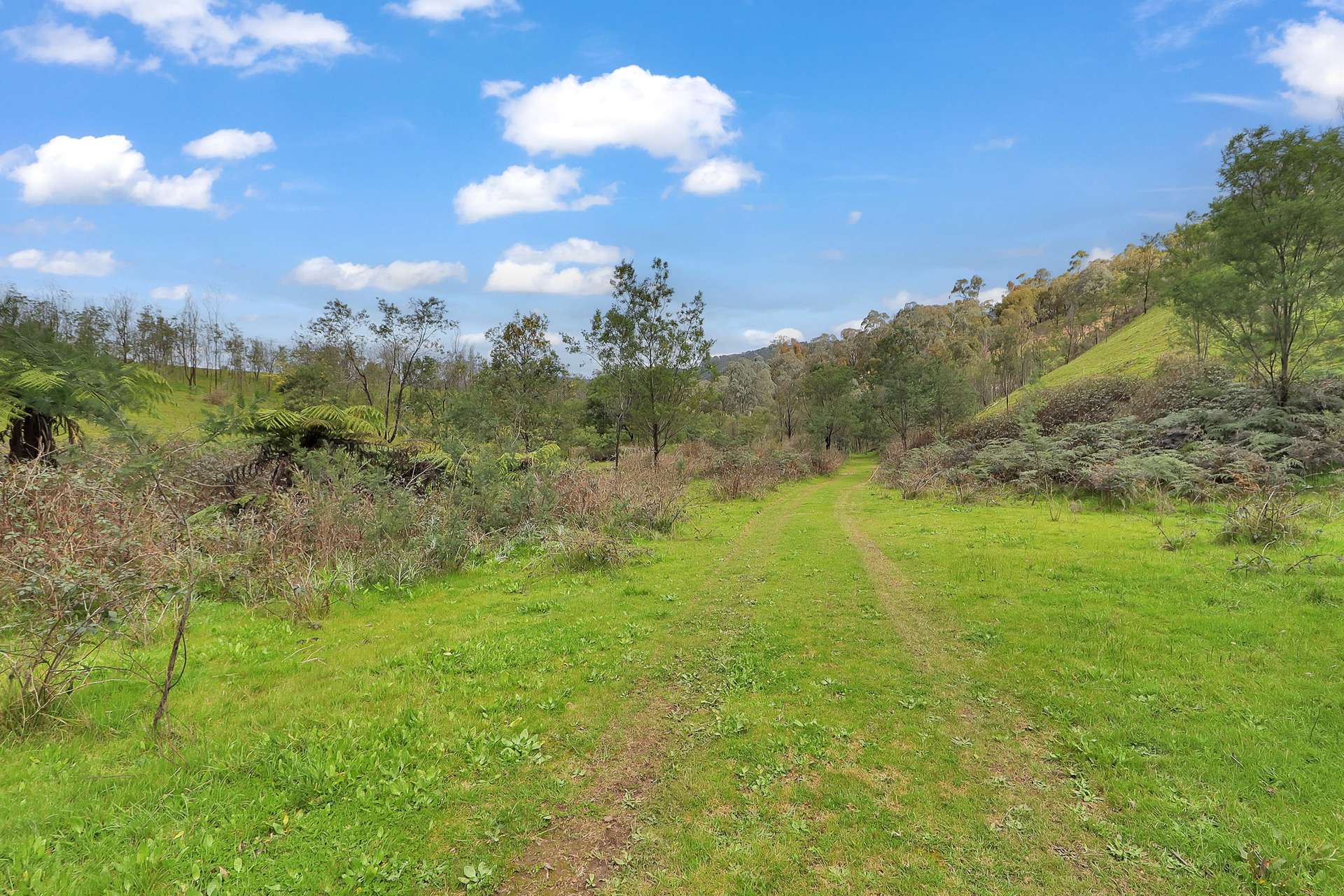 Lot 1 2995 Maintongoon Road, Bonnie Doon For Sale by Farmbuy.com - image 5