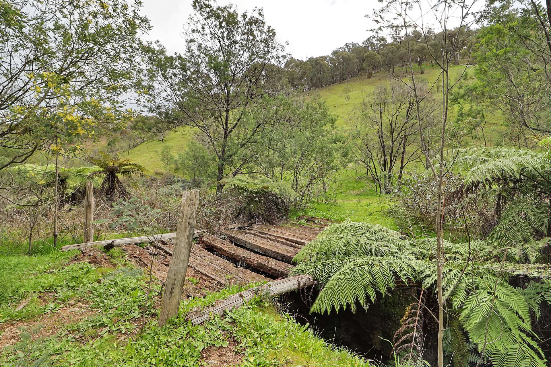 Lot 1 2995 Maintongoon Road, Bonnie Doon For Sale by Farmbuy.com - image 4