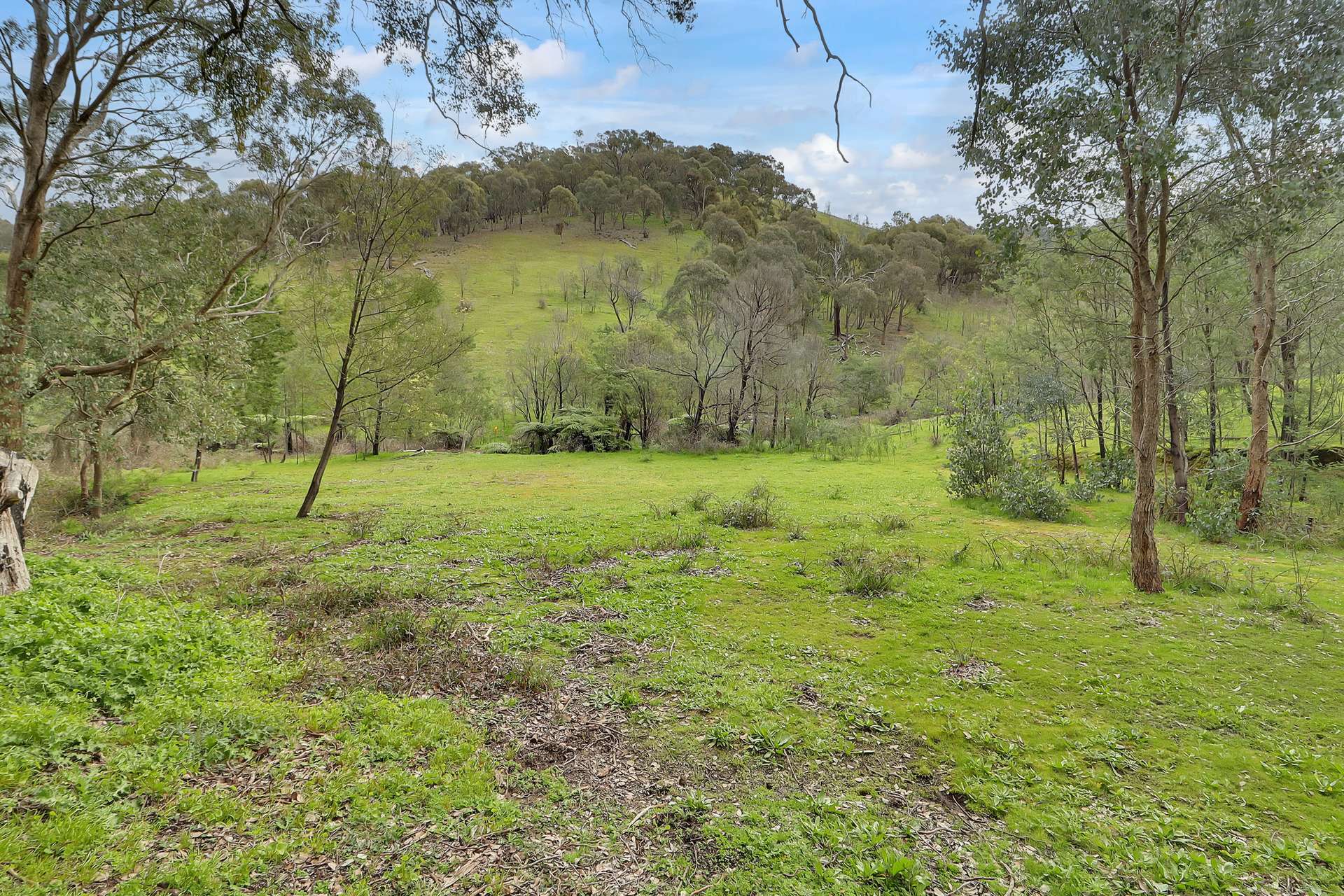 Lot 1 2995 Maintongoon Road, Bonnie Doon For Sale by Farmbuy.com - image 13
