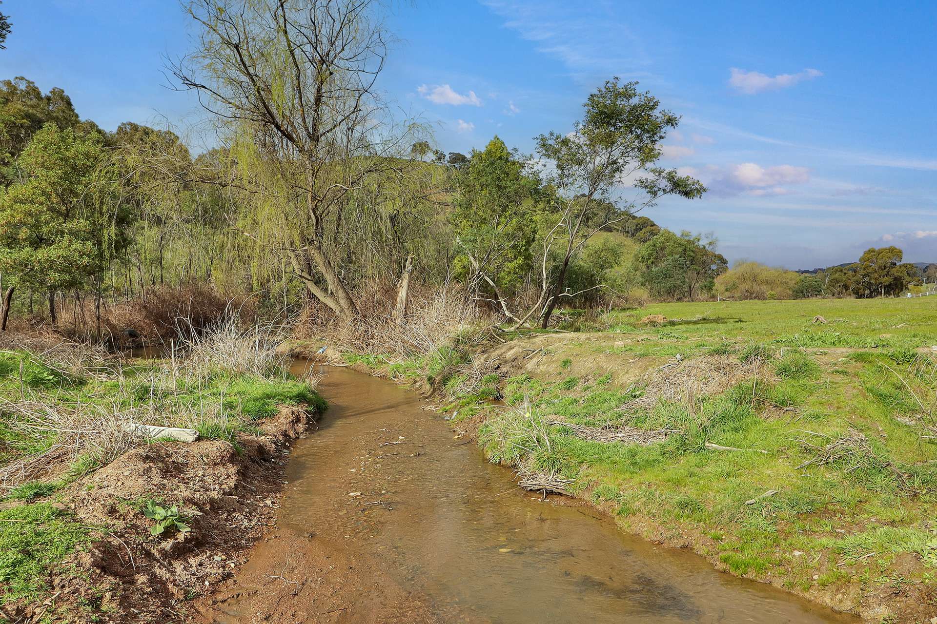 Lot 1 2995 Maintongoon Road, Bonnie Doon For Sale by Farmbuy.com - image 9