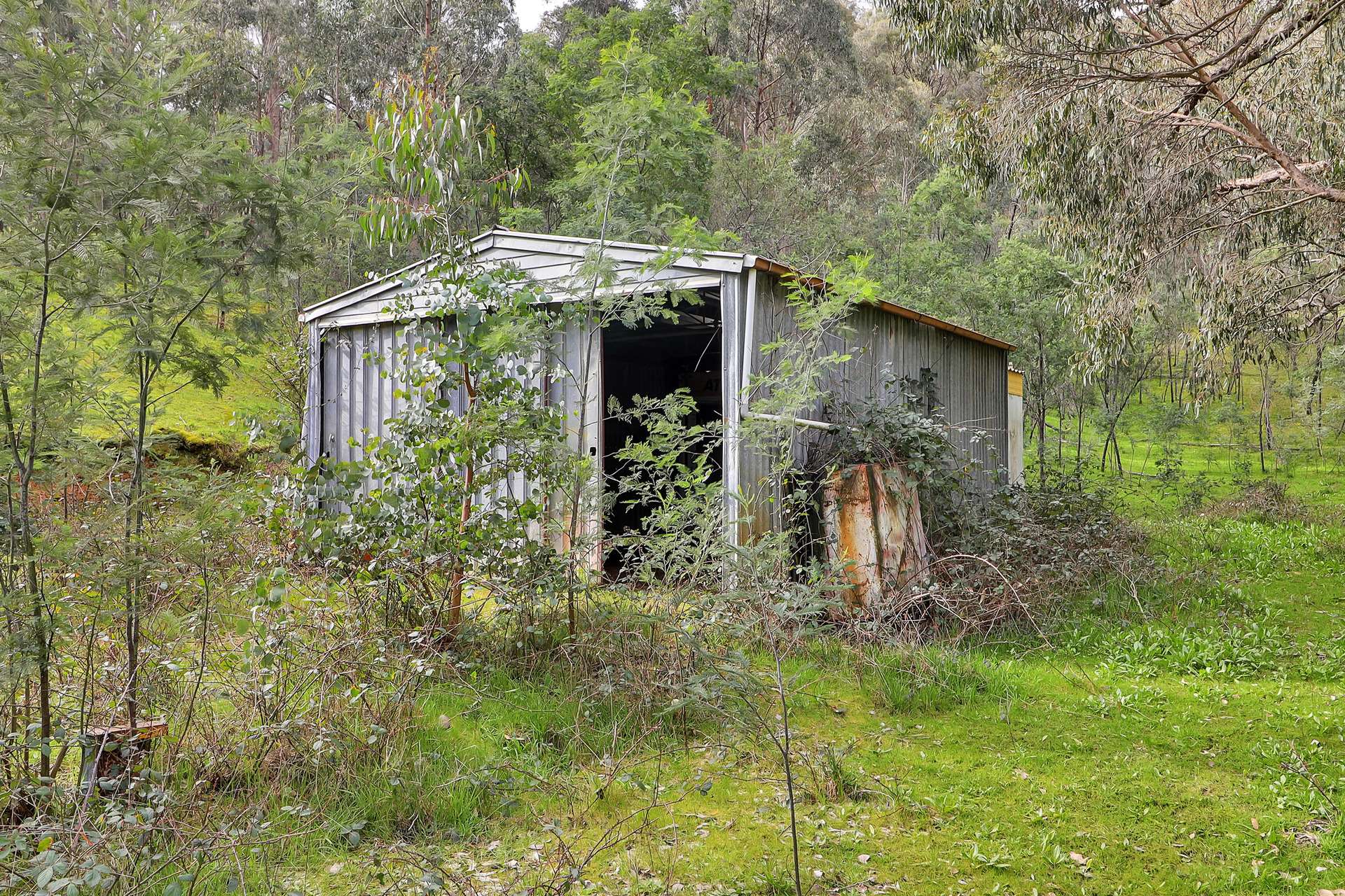 Lot 1 2995 Maintongoon Road, Bonnie Doon For Sale by Farmbuy.com - image 10
