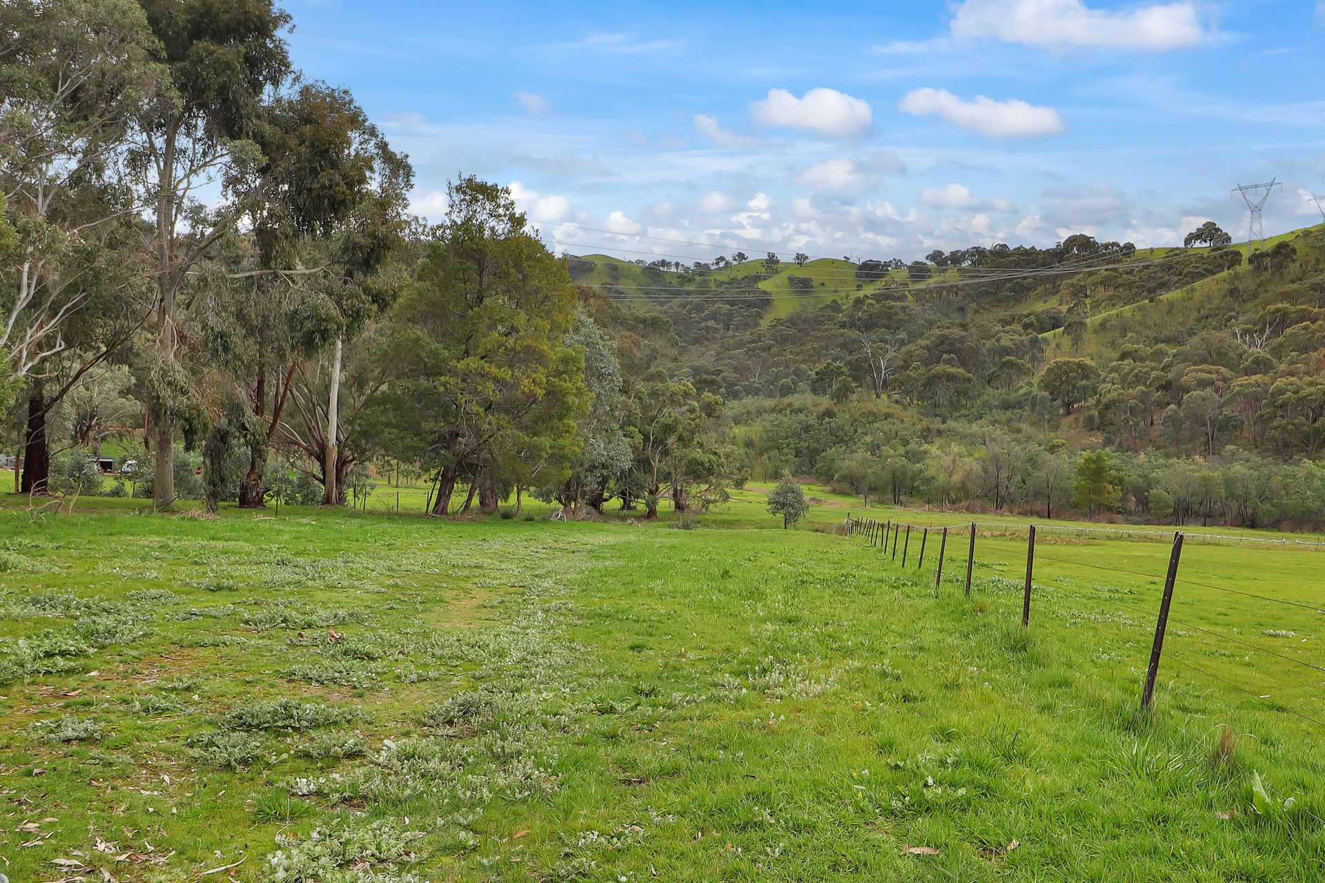 Lot 1 2995 Maintongoon Road, Bonnie Doon For Sale by Farmbuy.com - image 8