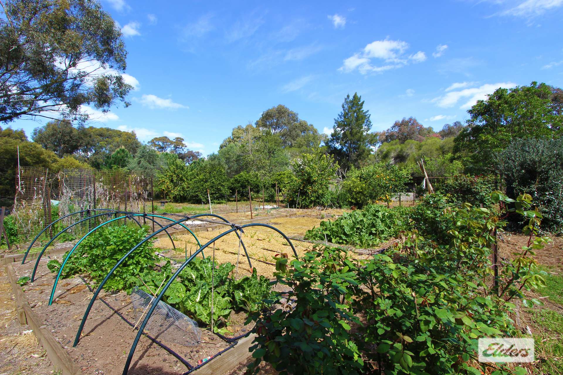 49 Gap Road, Lockwood For Sale by Farmbuy.com - image 22