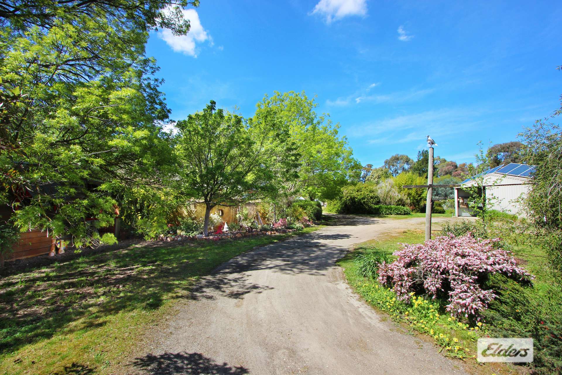 49 Gap Road, Lockwood For Sale by Farmbuy.com - image 2