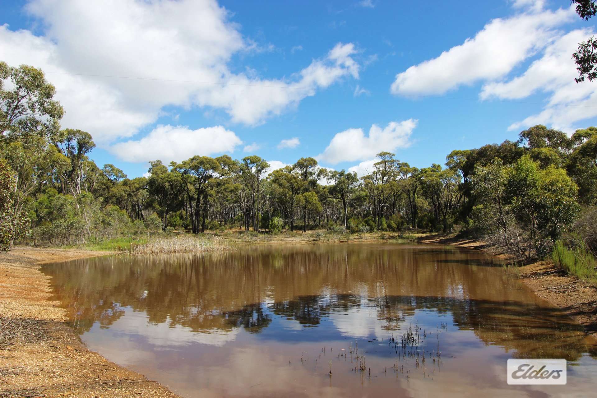 49 Gap Road, Lockwood For Sale by Farmbuy.com - image 31