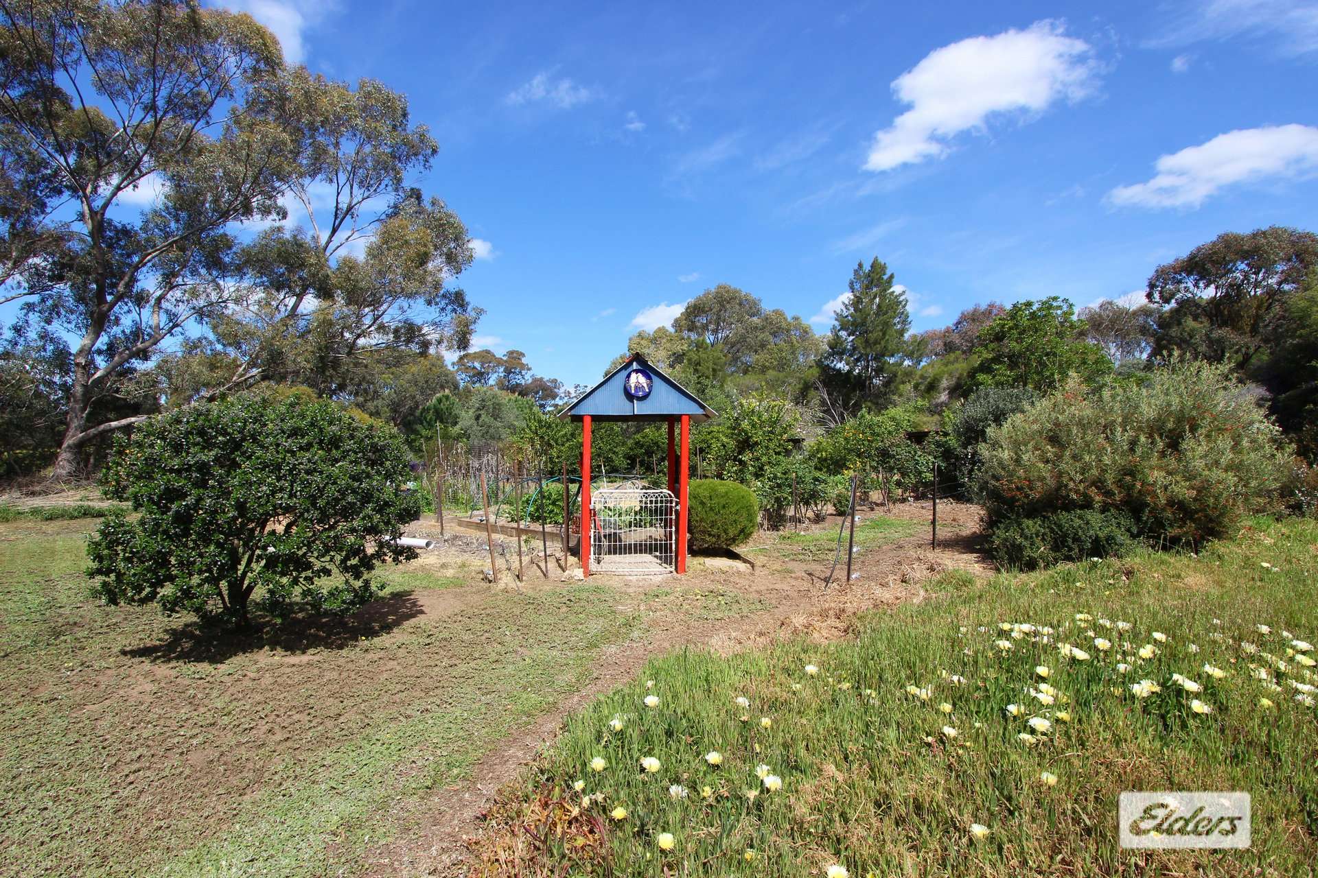 49 Gap Road, Lockwood For Sale by Farmbuy.com - image 29