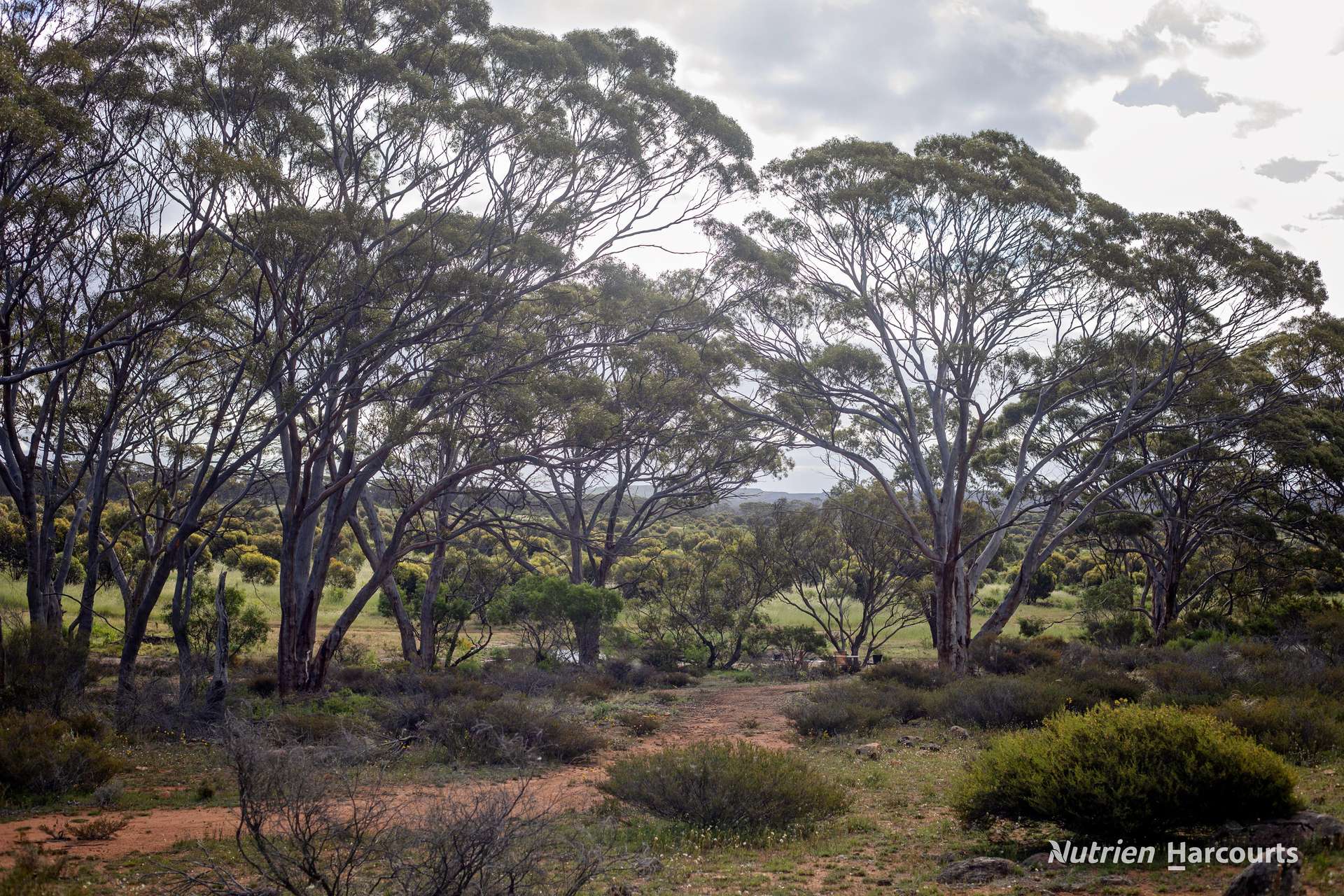 17995 South Coast Highway, Ravensthorpe For Sale by Farmbuy.com - image 23