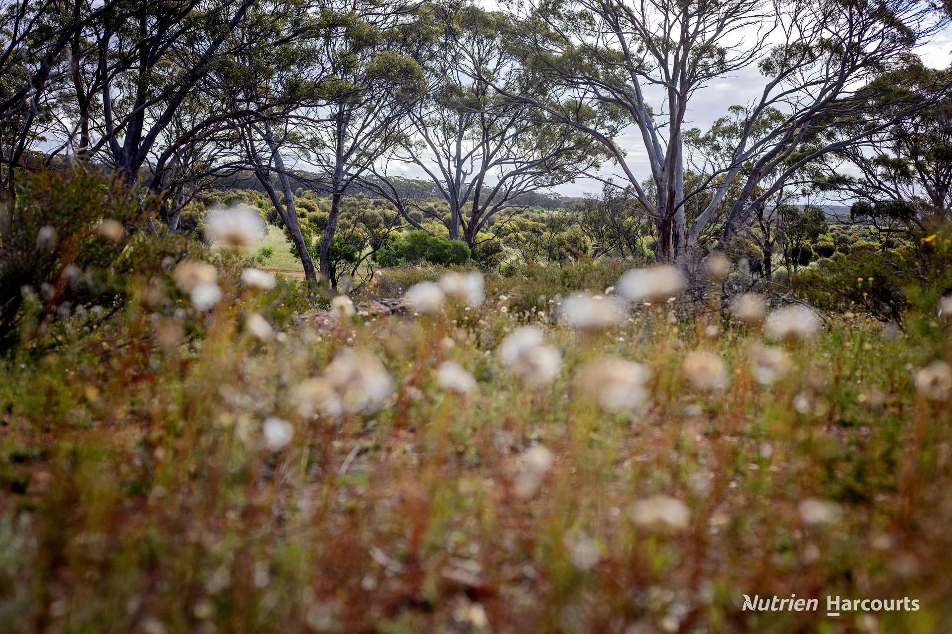 17995 South Coast Highway, Ravensthorpe For Sale by Farmbuy.com - image 19