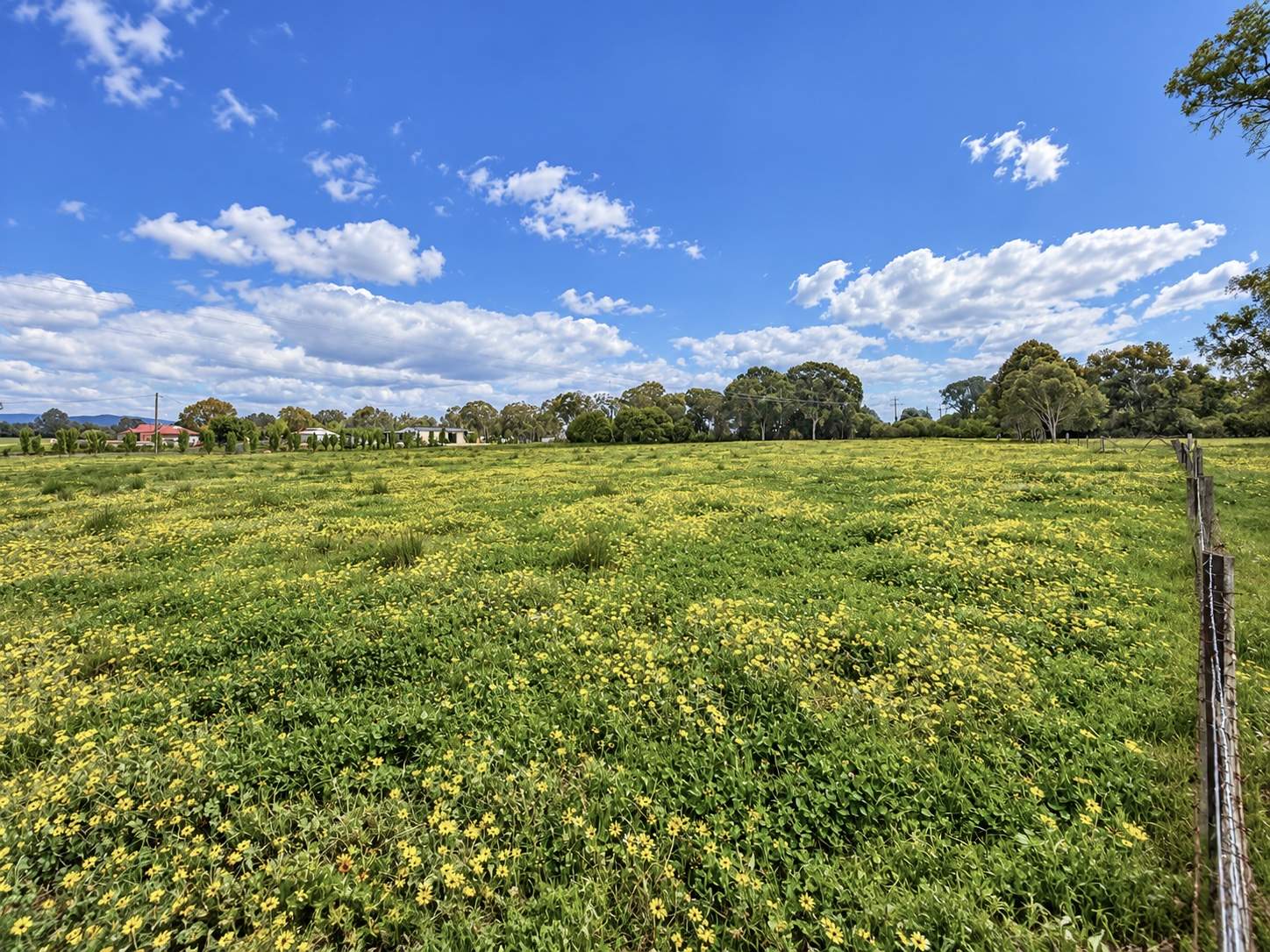 62 Table Top Road, Thurgoona For Sale by Farmbuy.com - image 2