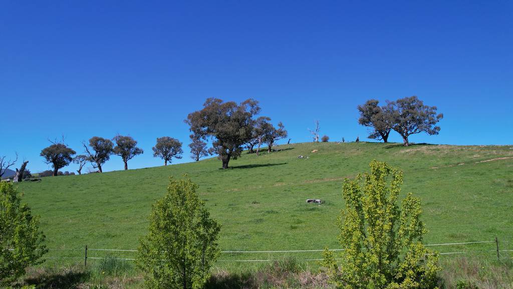 25 Jephcott Avenue, Corryong VIC 3707