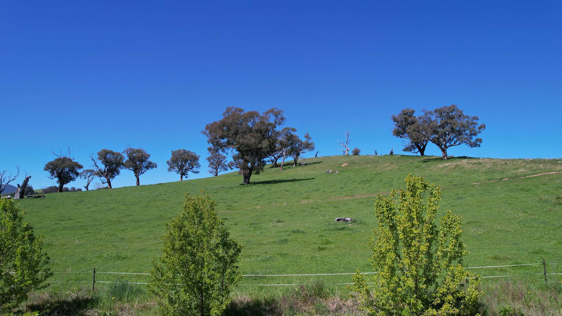 25 Jephcott Avenue, Corryong For Sale by Farmbuy.com - image 1