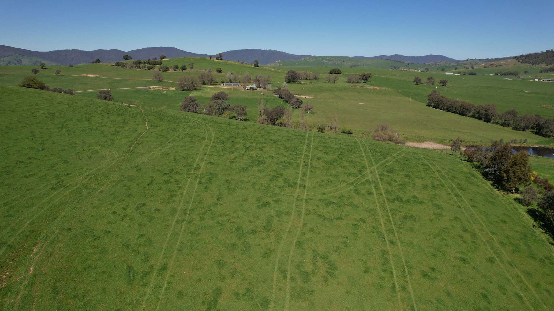 25 Jephcott Avenue, Corryong For Sale by Farmbuy.com - image 4