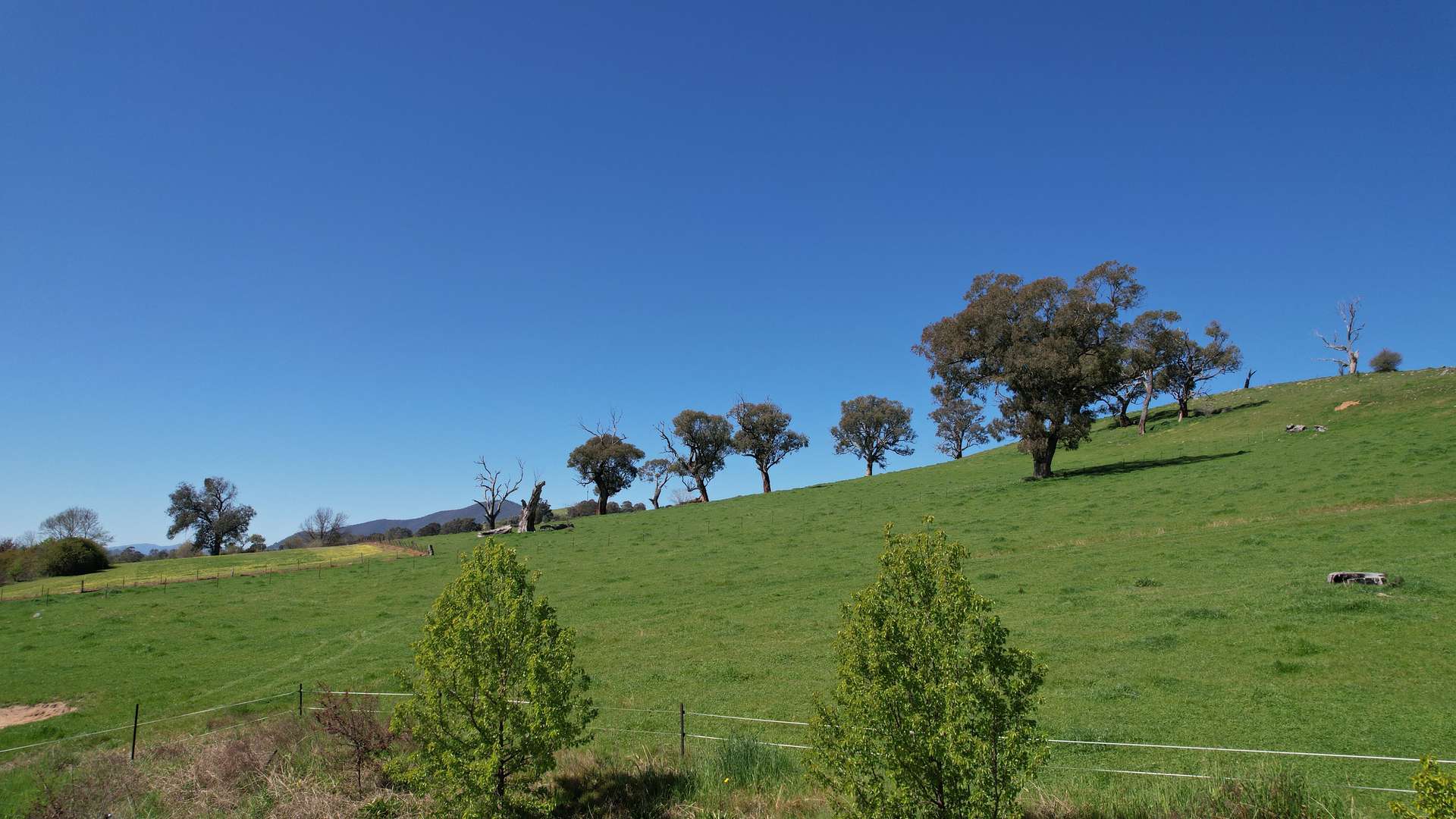 25 Jephcott Avenue, Corryong For Sale by Farmbuy.com - image 2