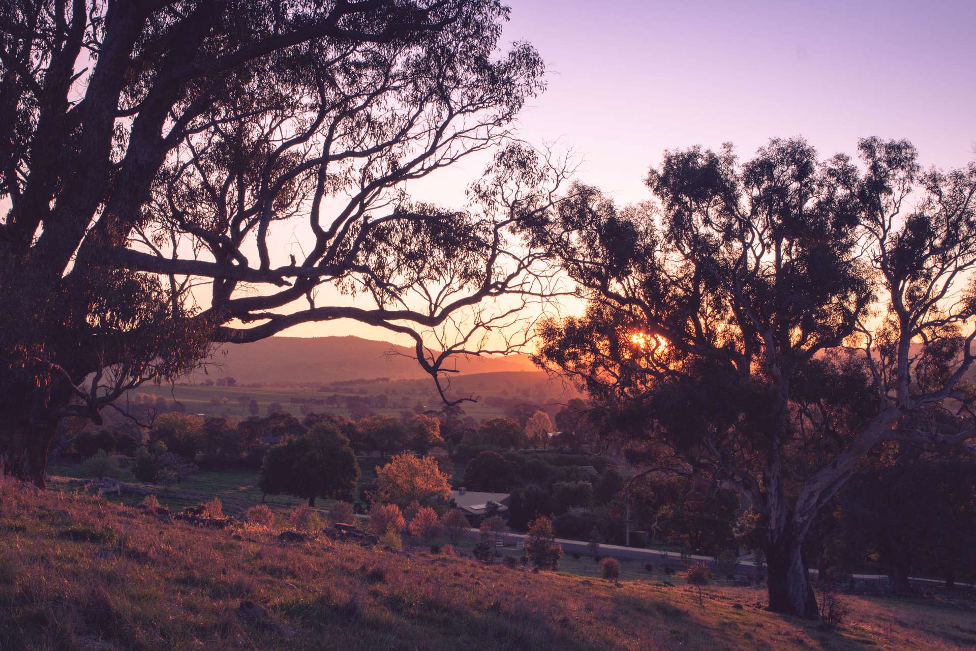 25 Jephcott Avenue, Corryong For Sale by Farmbuy.com - image 10