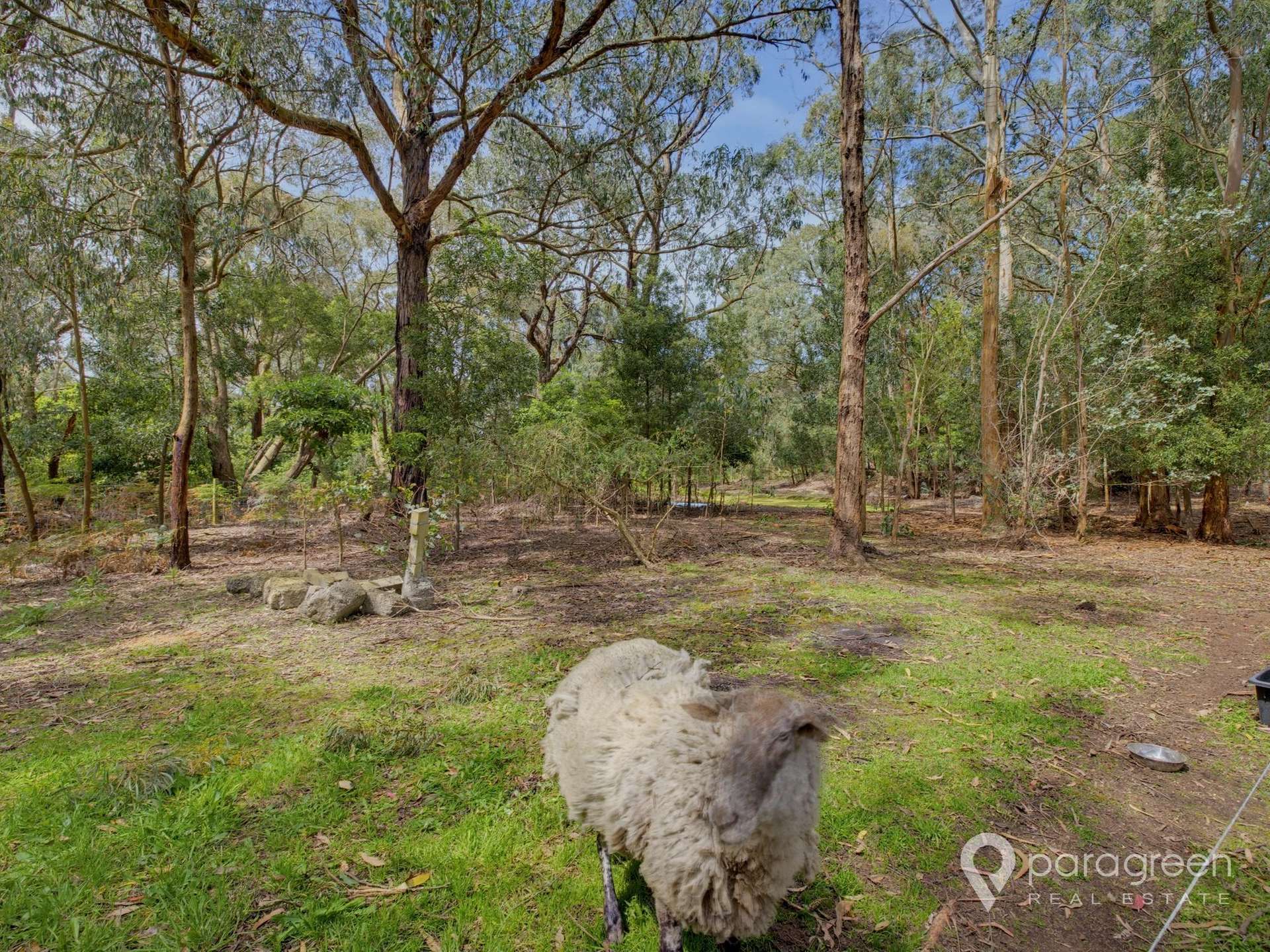 185 Fullers Road, Foster For Sale by Farmbuy.com - image 20
