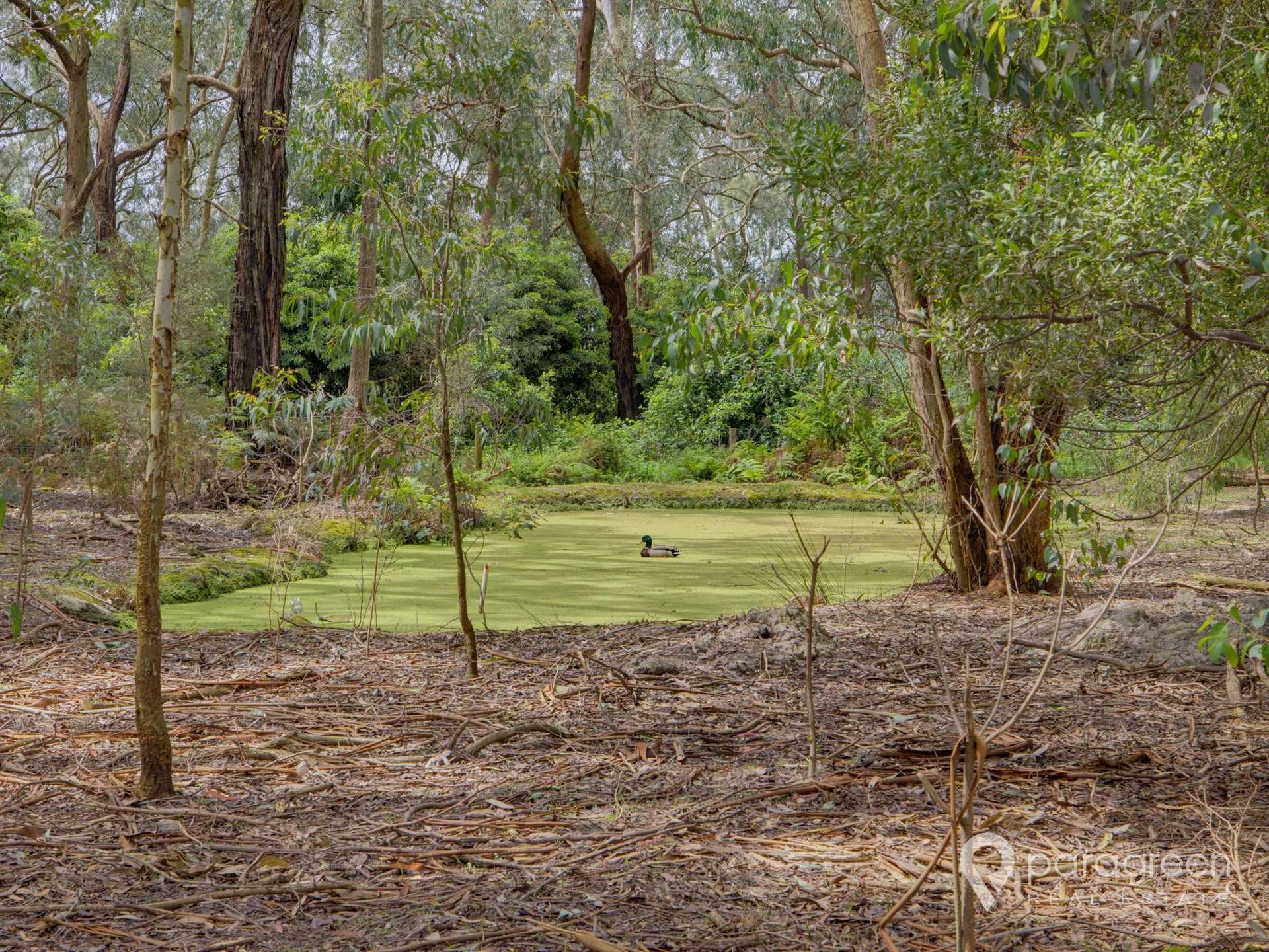 185 Fullers Road, Foster For Sale by Farmbuy.com - image 21