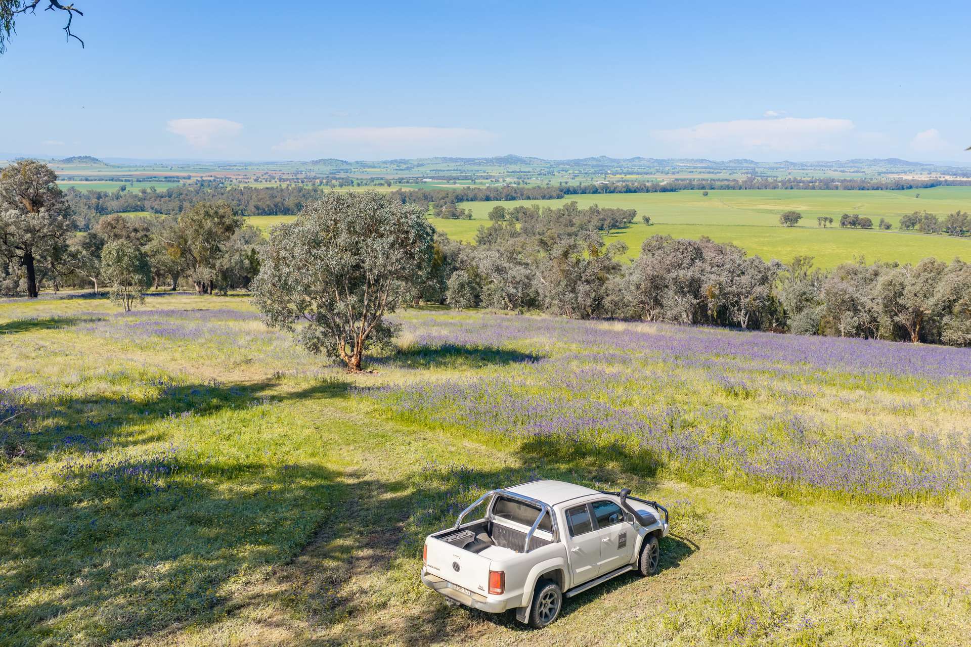 22 Merriganowry Road, Cowra For Sale by Farmbuy.com - image 23