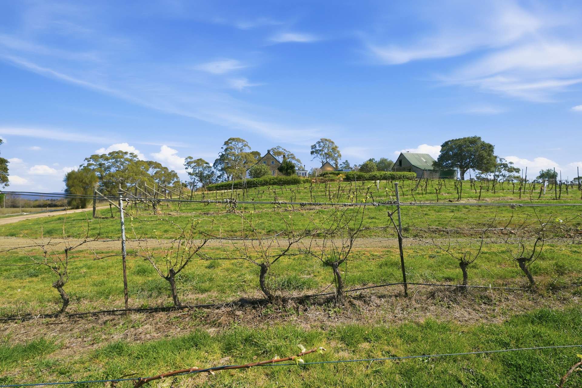 80 GLEN GALA ROAD, Cranbrook For Sale by Farmbuy.com - image 30