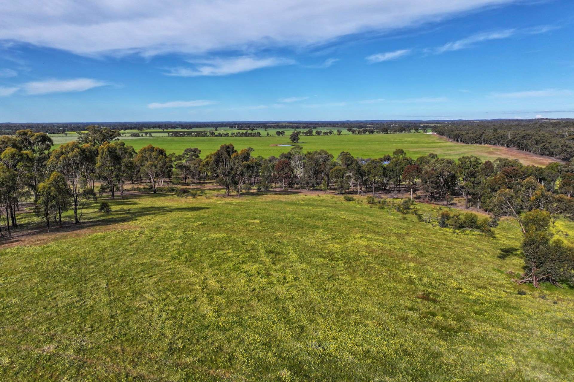 9999 Plain Road, Cornella For Sale by Farmbuy.com - image 8