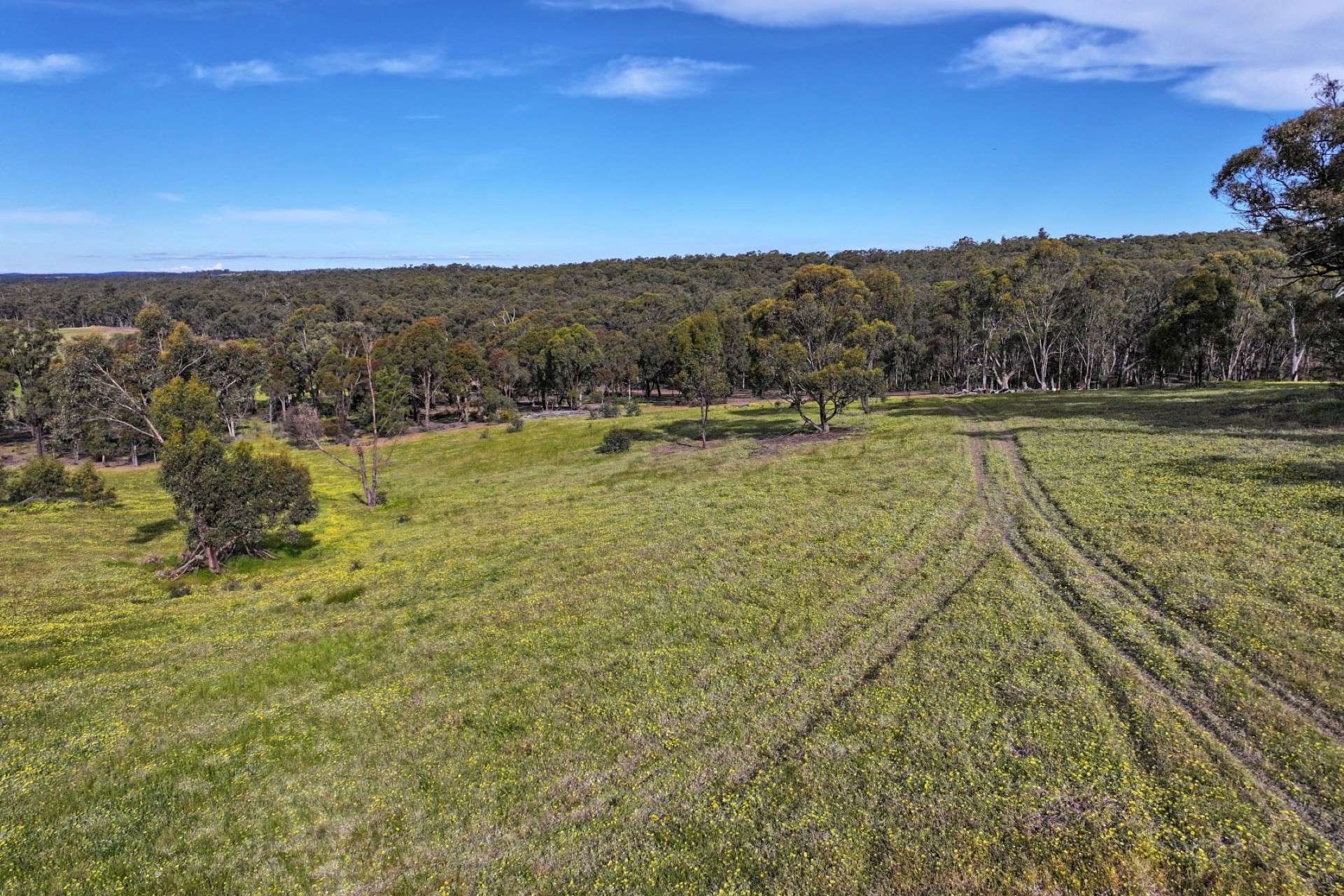 9999 Plain Road, Cornella For Sale by Farmbuy.com - image 9