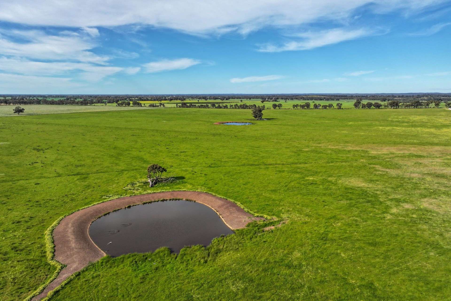 9999 Plain Road, Cornella For Sale by Farmbuy.com - image 5