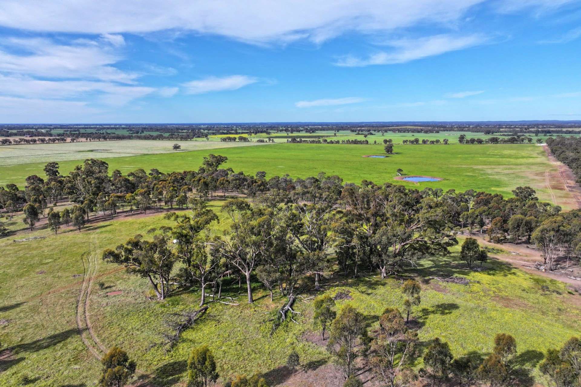 9999 Plain Road, Cornella For Sale by Farmbuy.com - image 7
