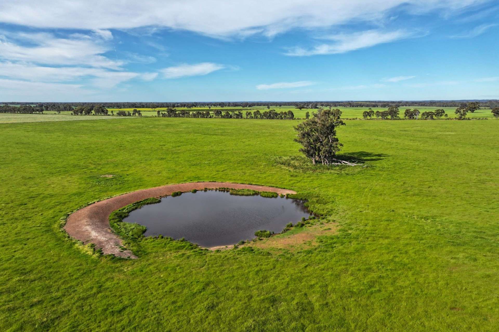 9999 Plain Road, Cornella For Sale by Farmbuy.com - image 6