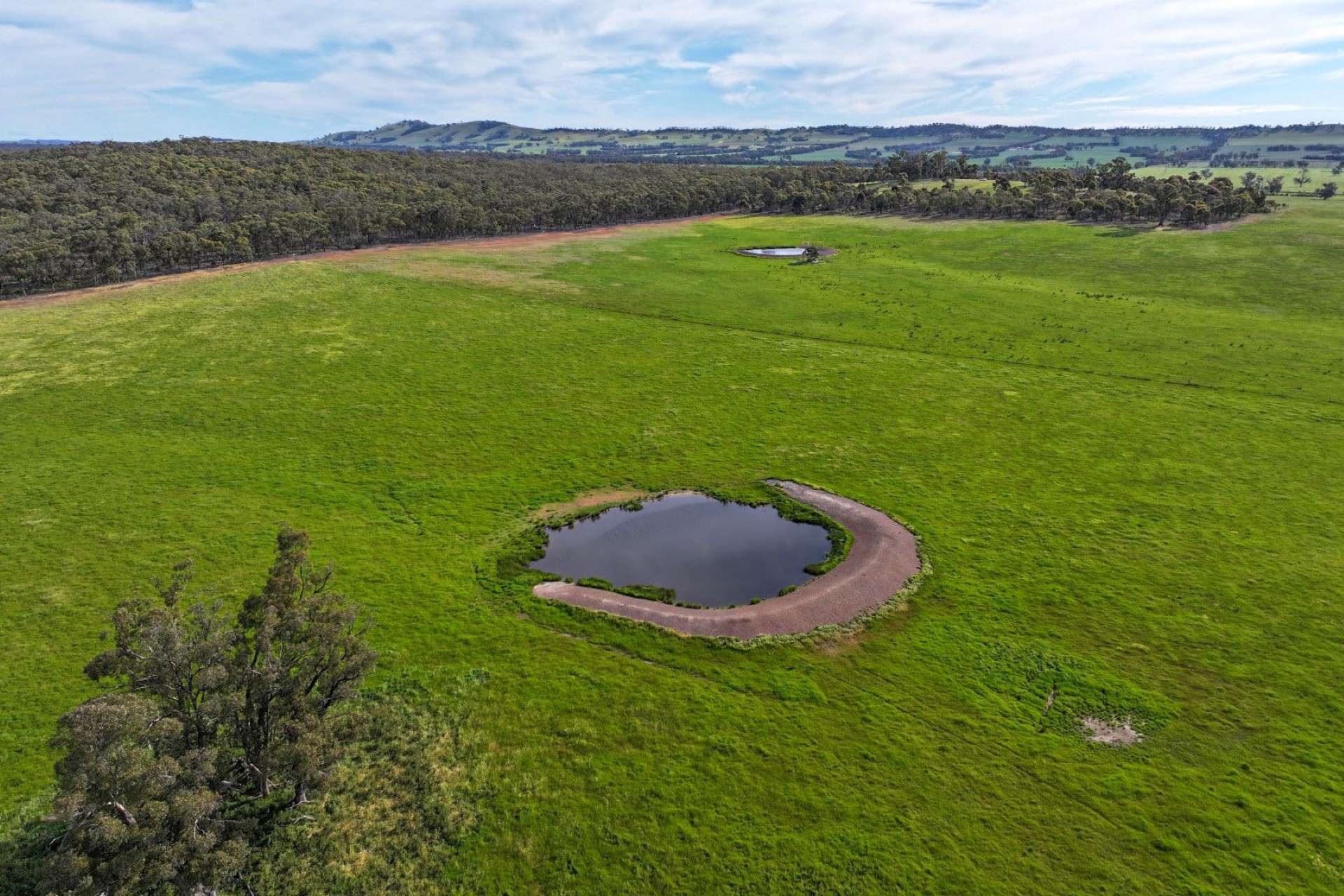 9999 Plain Road, Cornella For Sale by Farmbuy.com - image 4