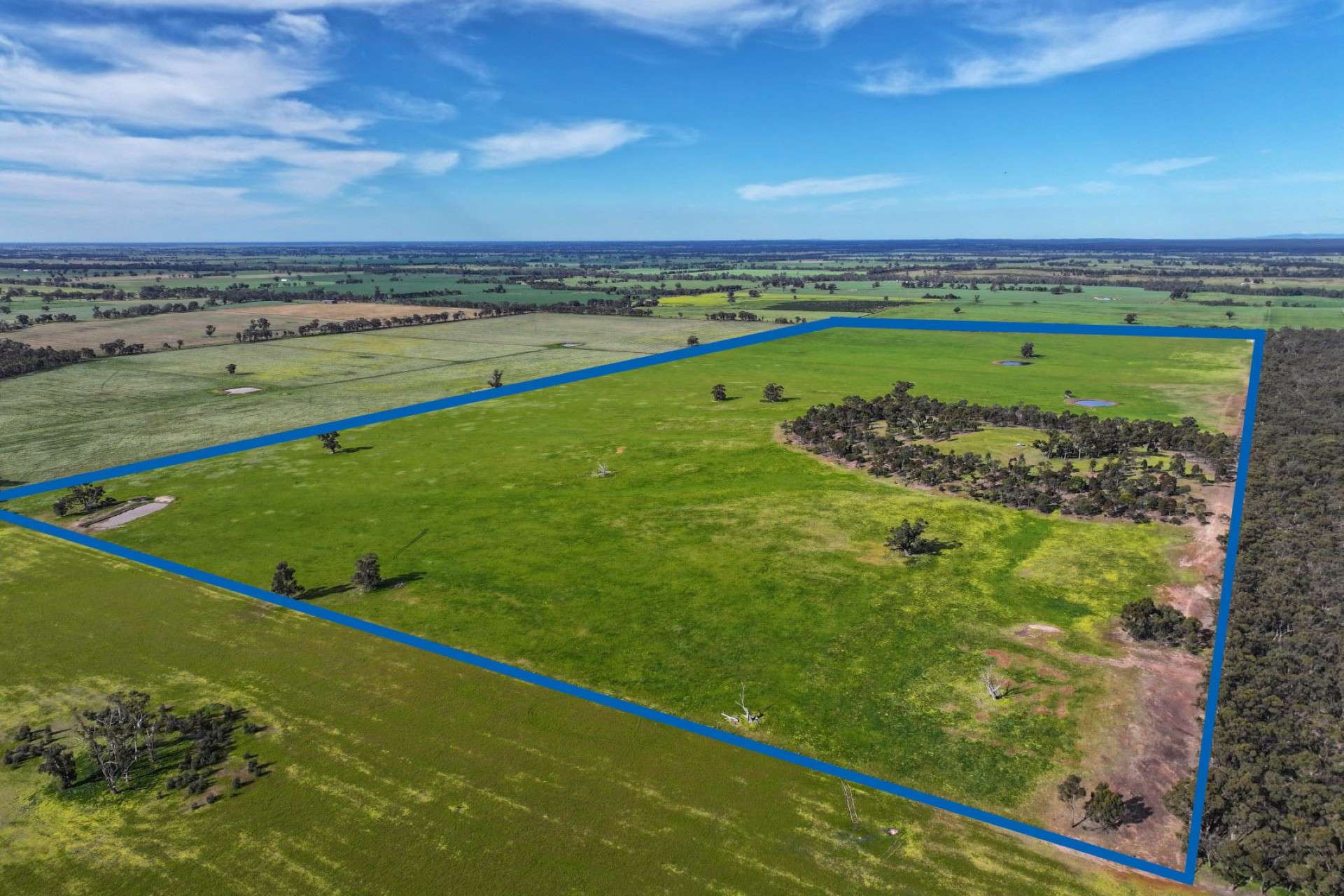 9999 Plain Road, Cornella For Sale by Farmbuy.com - image 1