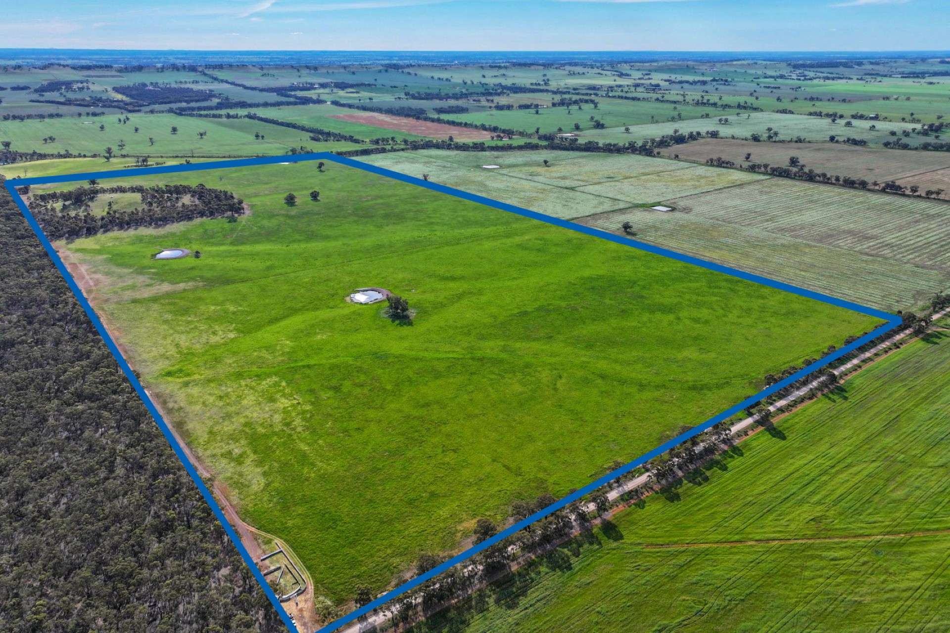 9999 Plain Road, Cornella For Sale by Farmbuy.com - image 13