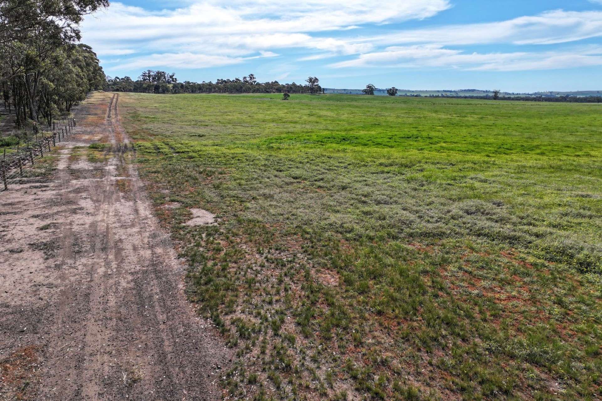 9999 Plain Road, Cornella For Sale by Farmbuy.com - image 10
