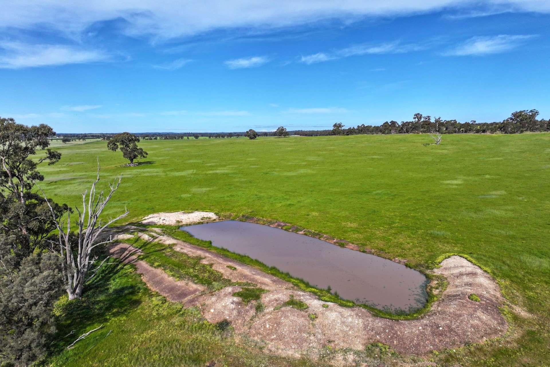 9999 Plain Road, Cornella For Sale by Farmbuy.com - image 2