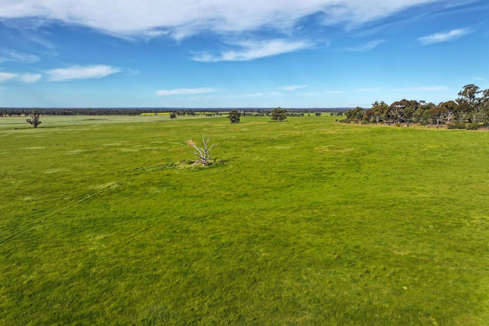 9999 Plain Road, Cornella For Sale by Farmbuy.com - image 3