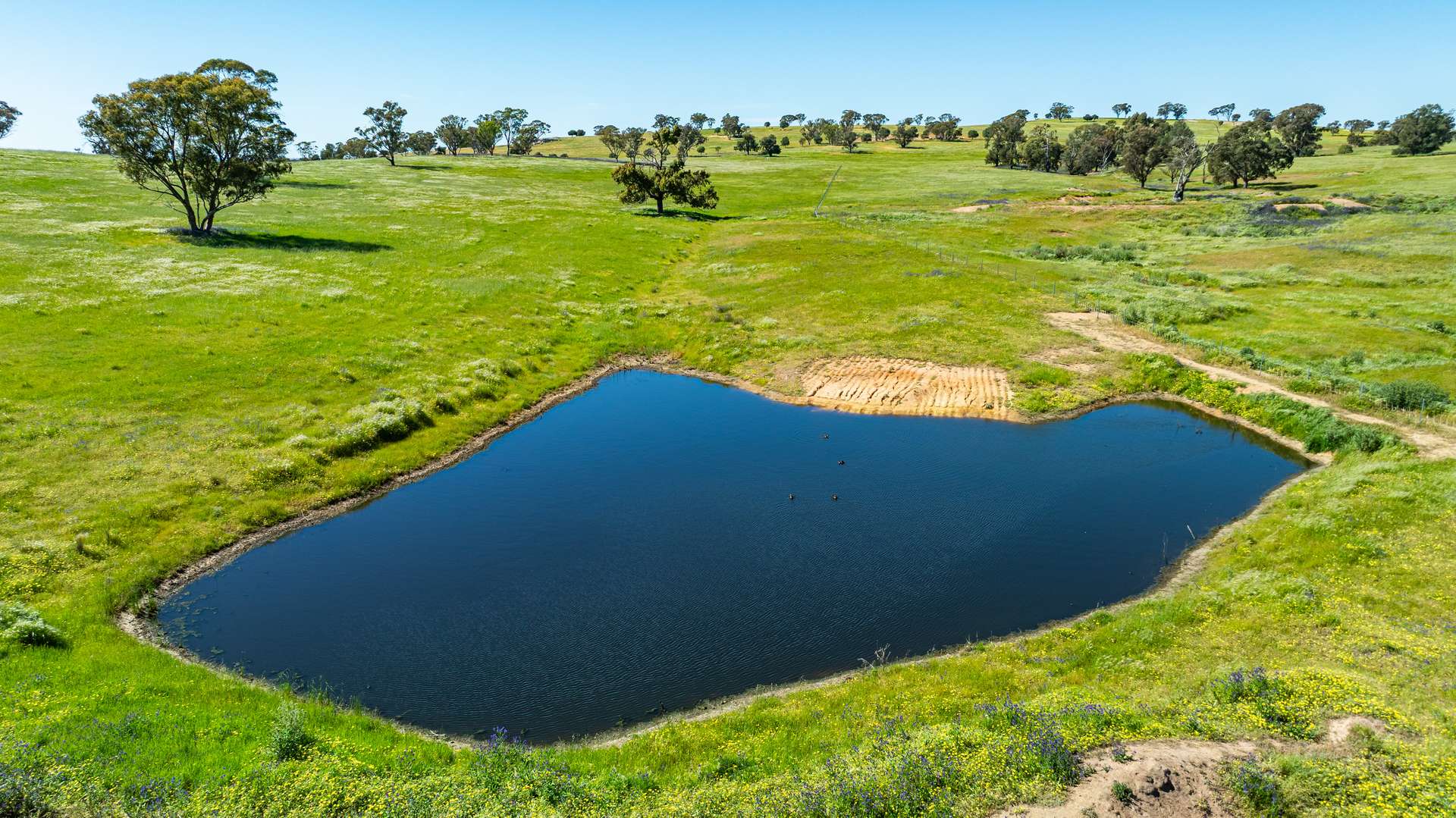 510 Munyaplah Settlement Road, Alma Park For Sale by Farmbuy.com - image 5