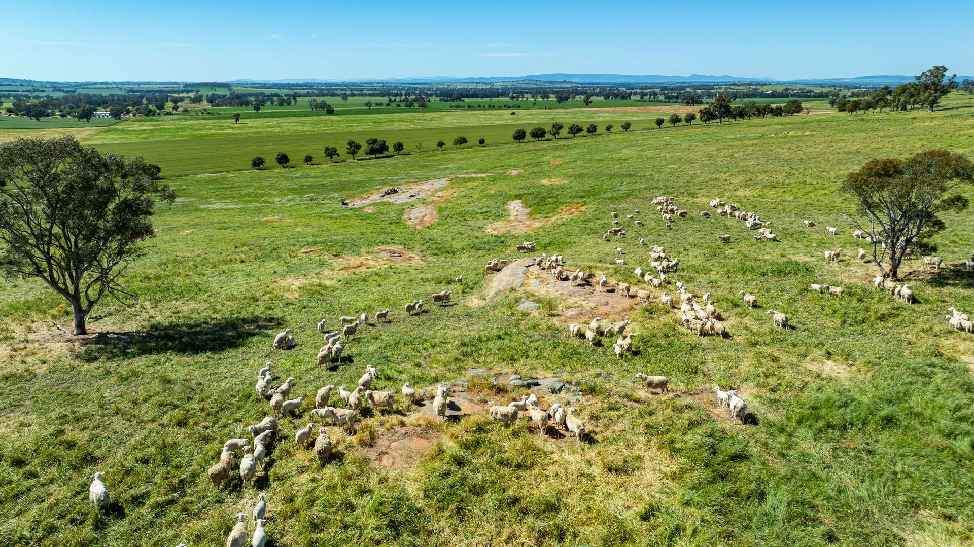 510 Munyaplah Settlement Road, Alma Park For Sale by Farmbuy.com - image 4