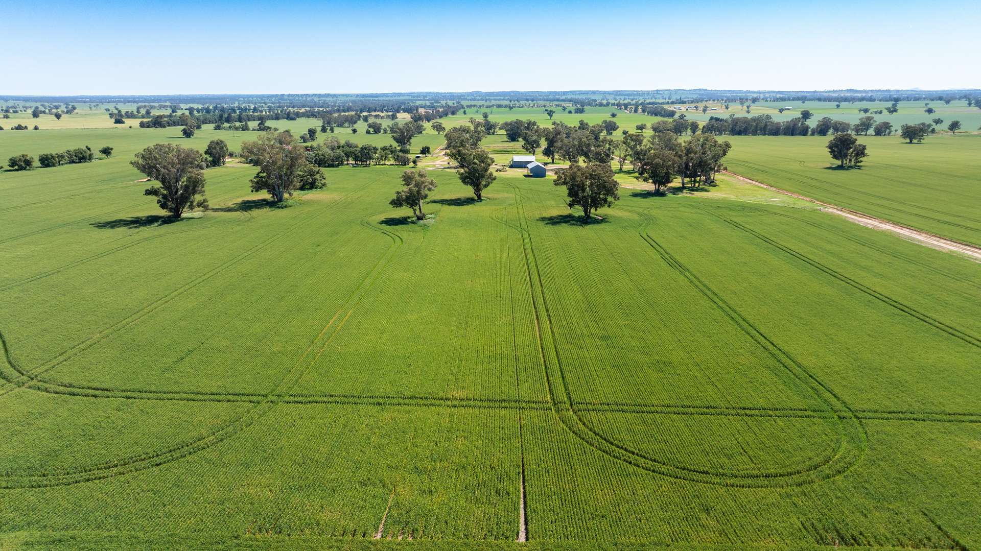 510 Munyaplah Settlement Road, Alma Park For Sale by Farmbuy.com - image 2