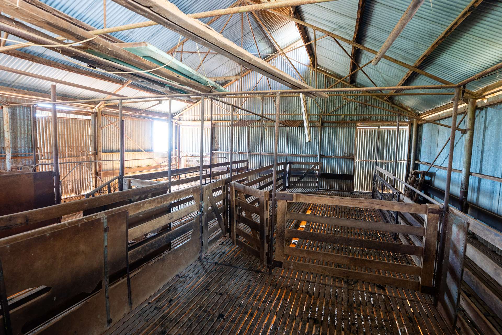 510 Munyaplah Settlement Road, Alma Park For Sale by Farmbuy.com - image 10