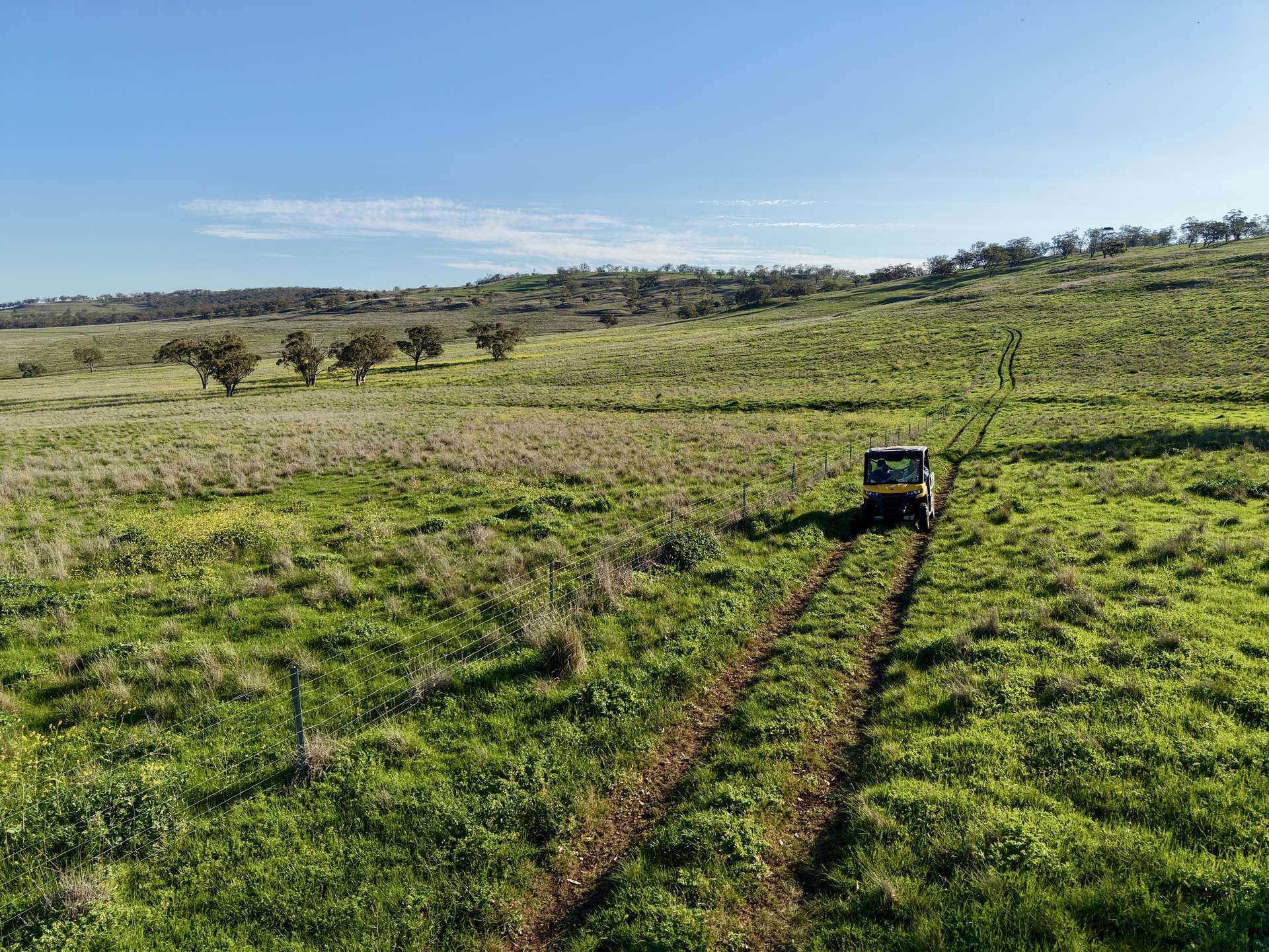 "Rangeview" 2541 Vinegaroy Road, Cassilis For Sale by Farmbuy.com - image 3