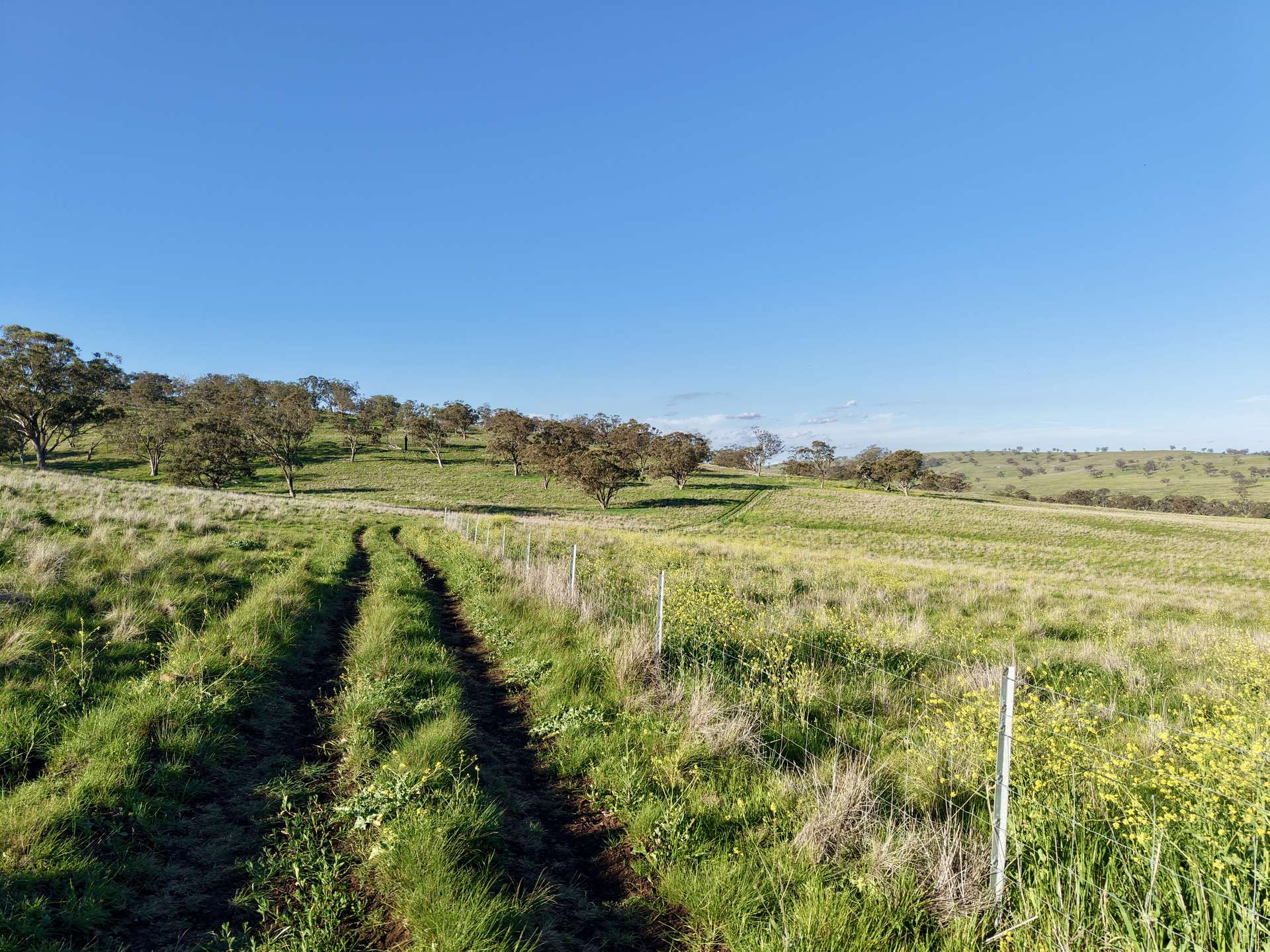 "Rangeview" 2541 Vinegaroy Road, Cassilis For Sale by Farmbuy.com - image 13