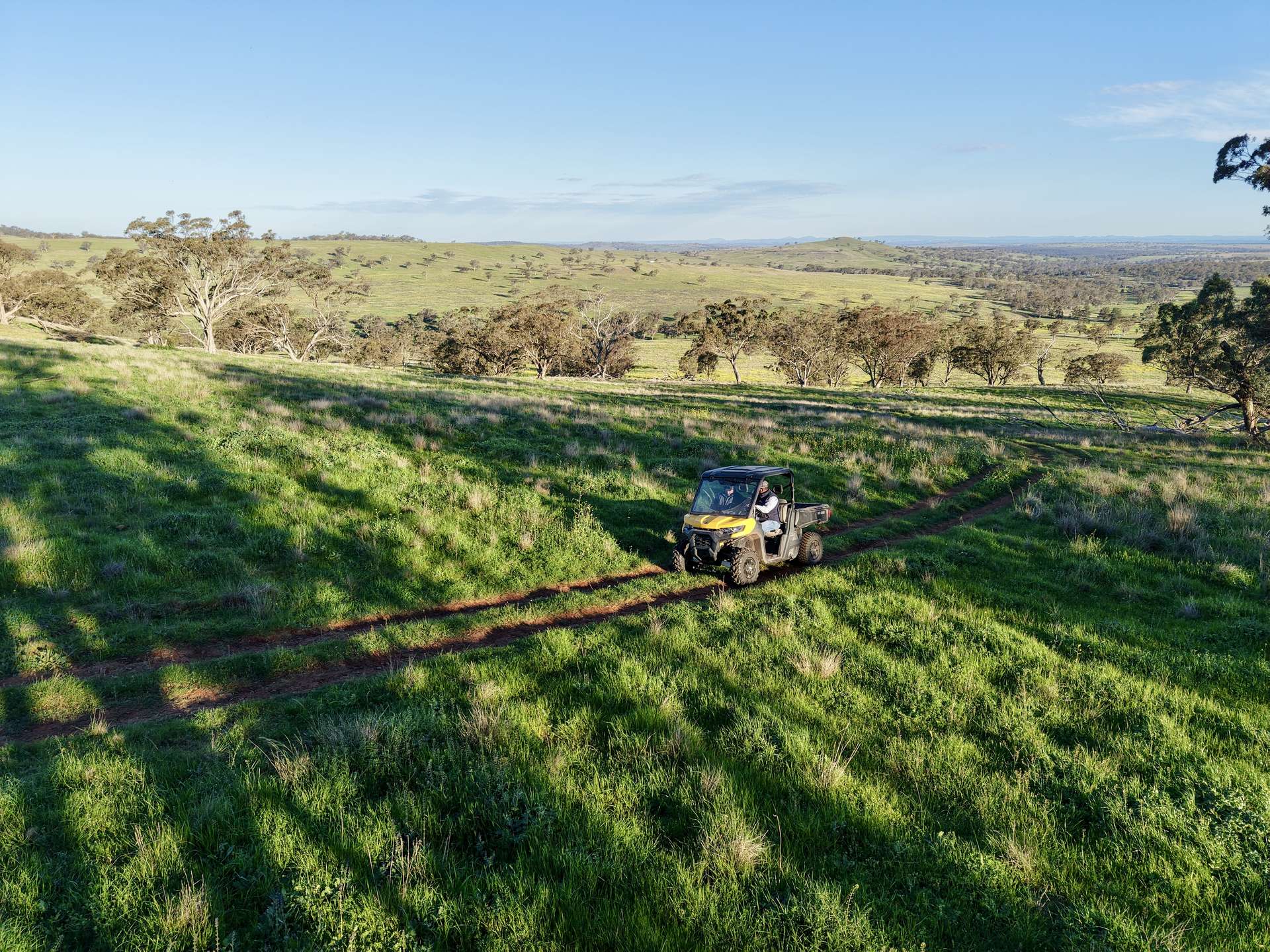 "Rangeview" 2541 Vinegaroy Road, Cassilis For Sale by Farmbuy.com - image 12