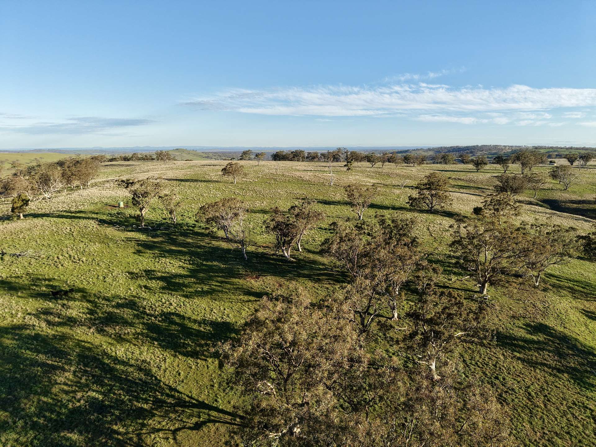 "Rangeview" 2541 Vinegaroy Road, Cassilis For Sale by Farmbuy.com - image 10
