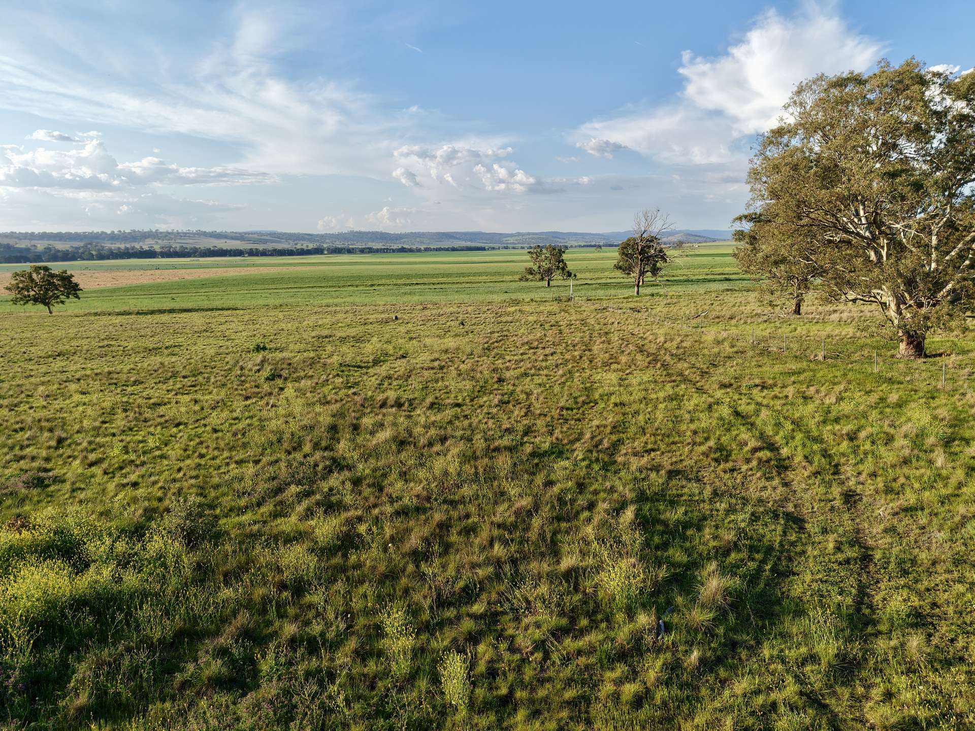 "Yallambee" 92 Yallambee Road, Cassilis For Sale by Farmbuy.com - image 10